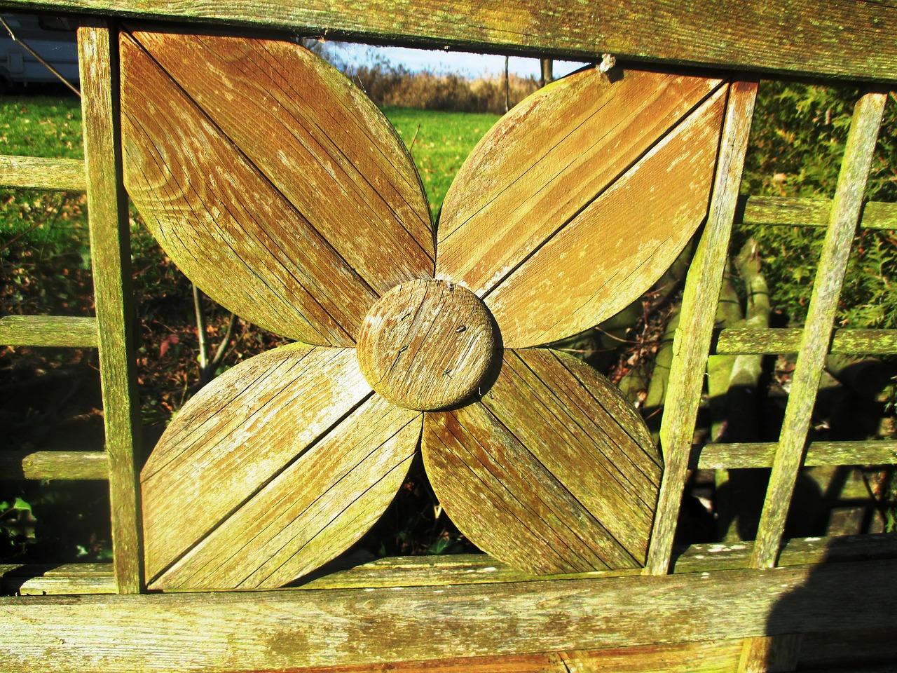 four leaf clover luck wood free photo