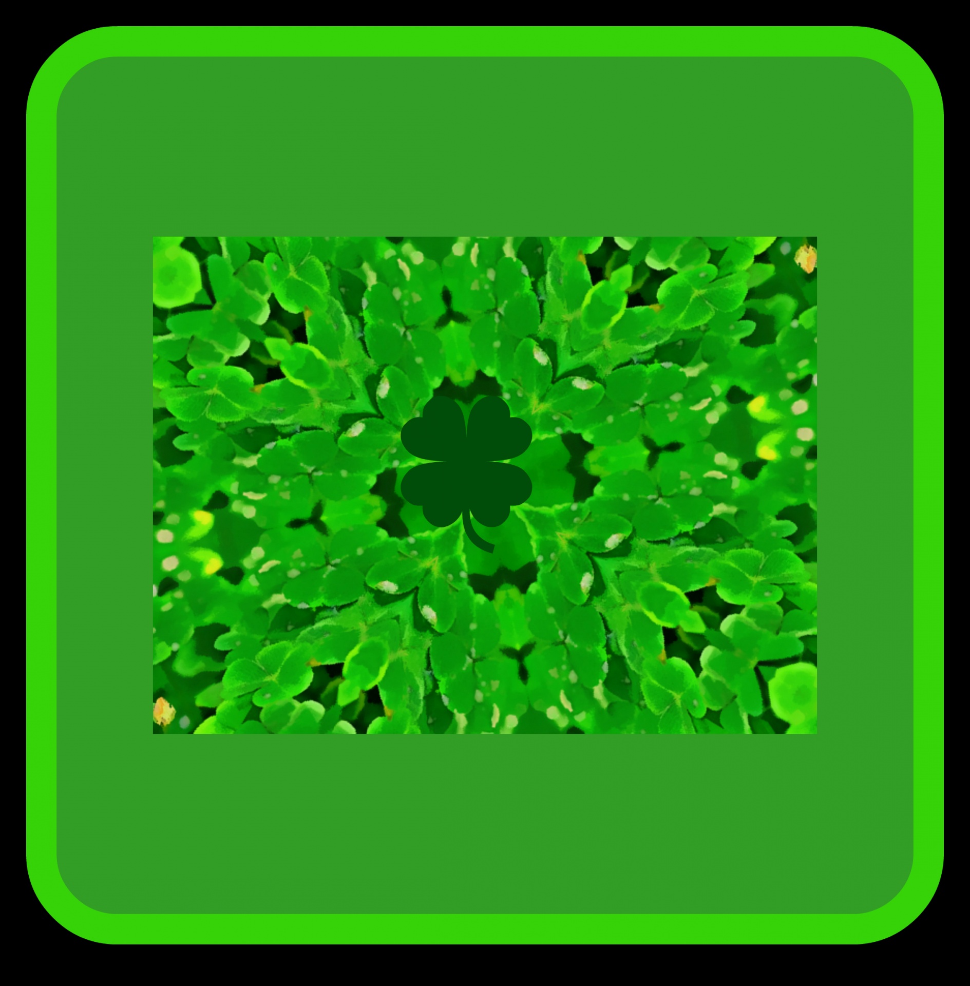 four leaf clovers clovers st patrick day free photo