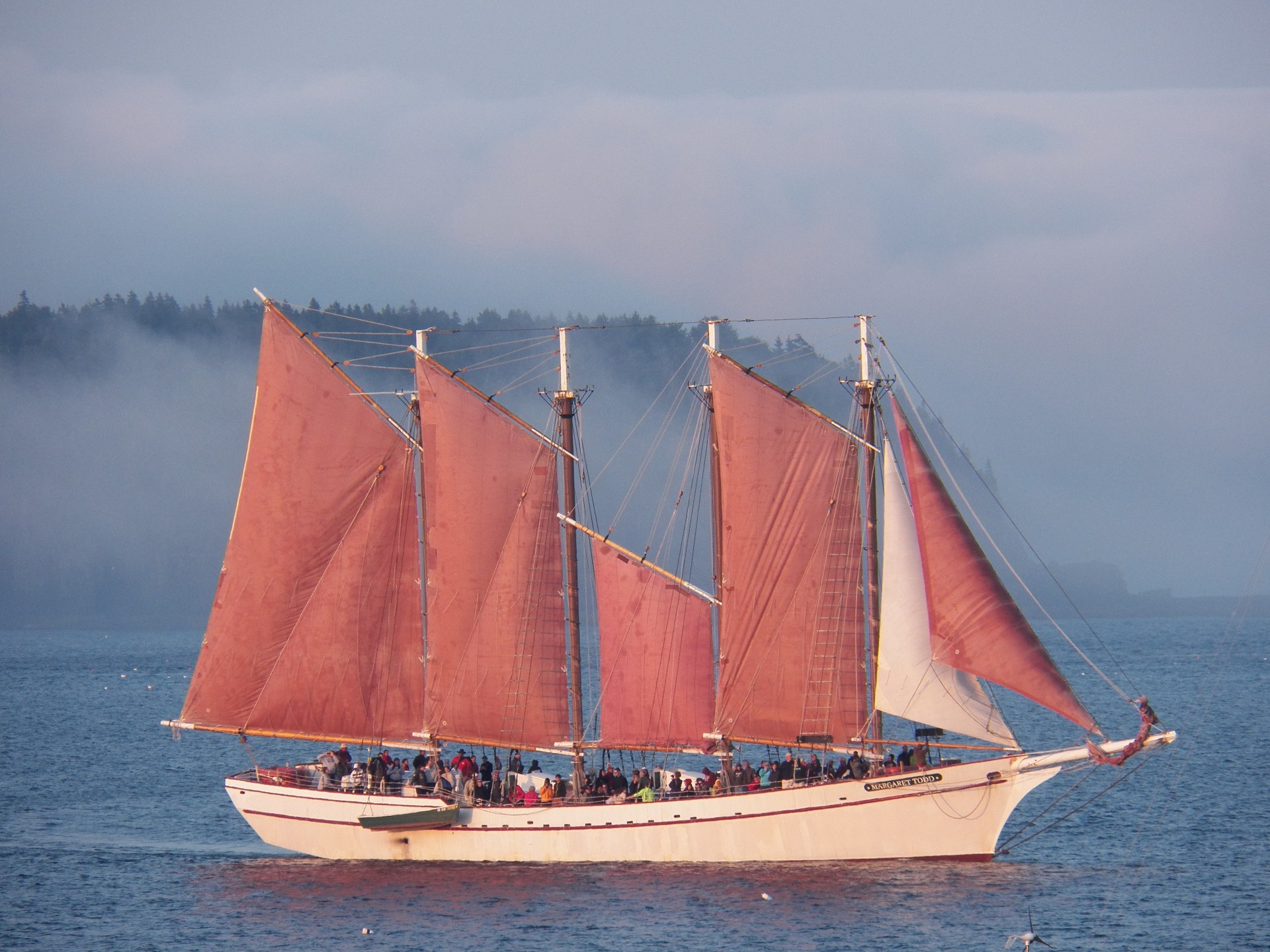 schooner schooners four mast free photo