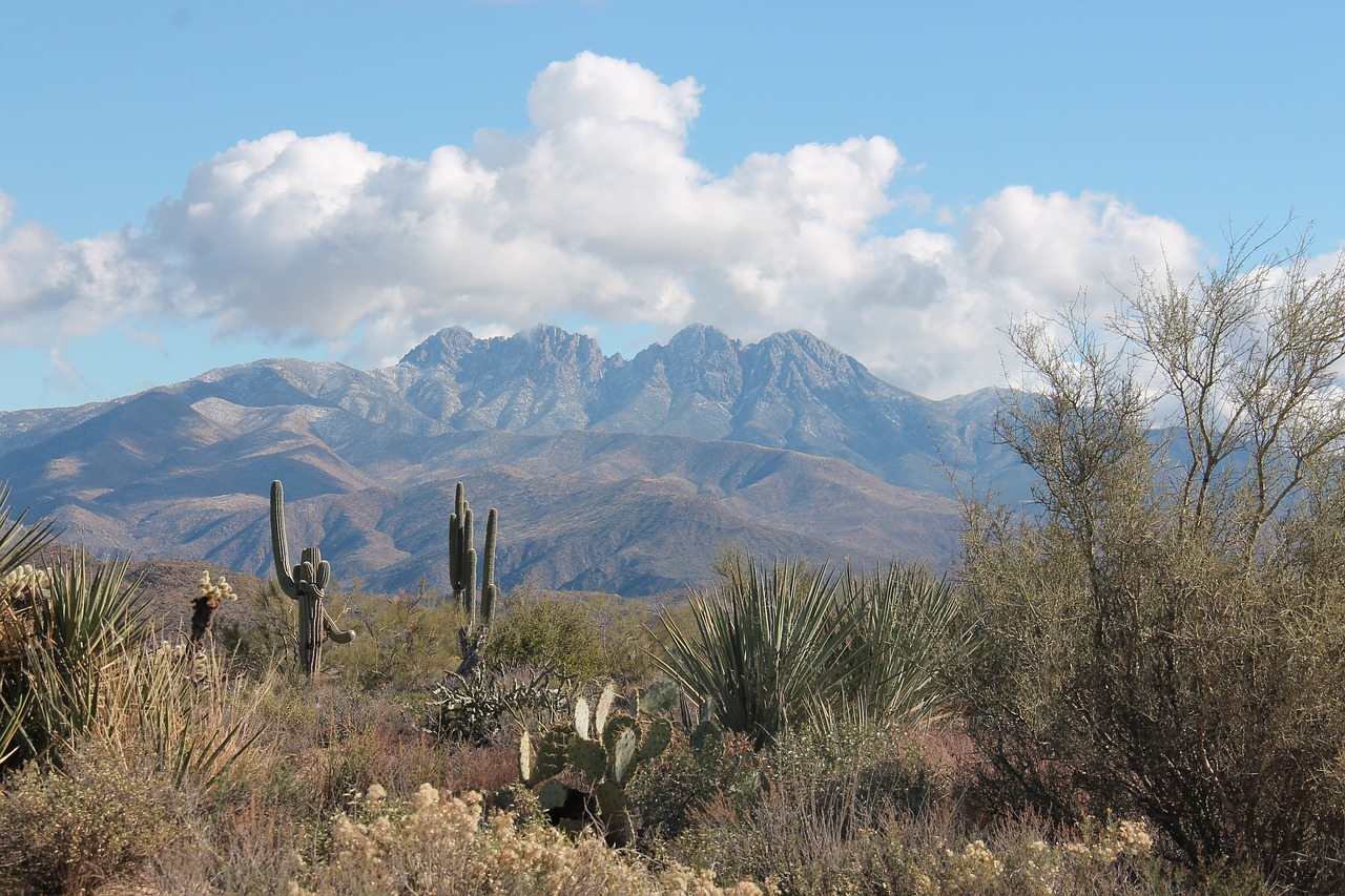 four peeks  arizona  mountain free photo