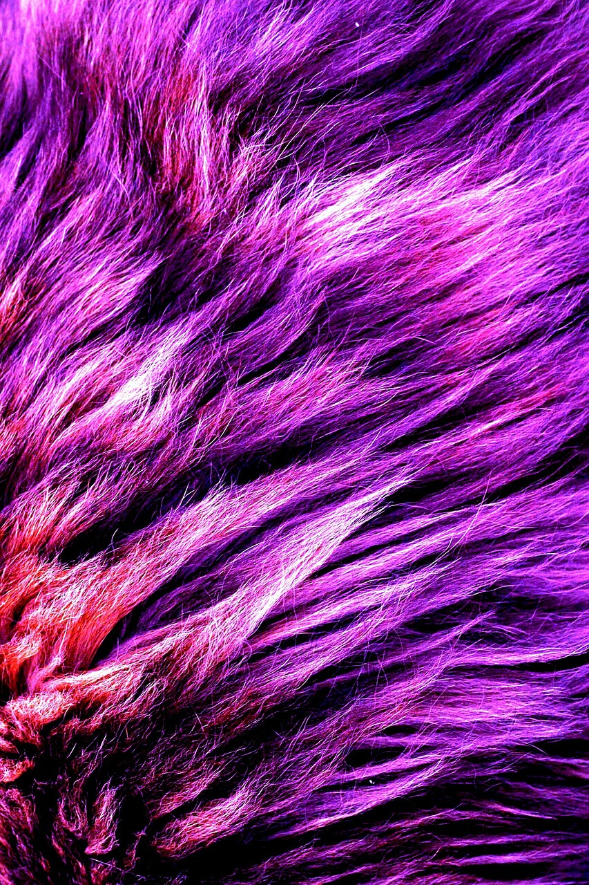 foux fur purple free photo