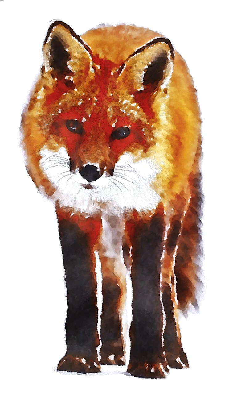 fox watercolor oekaki free photo