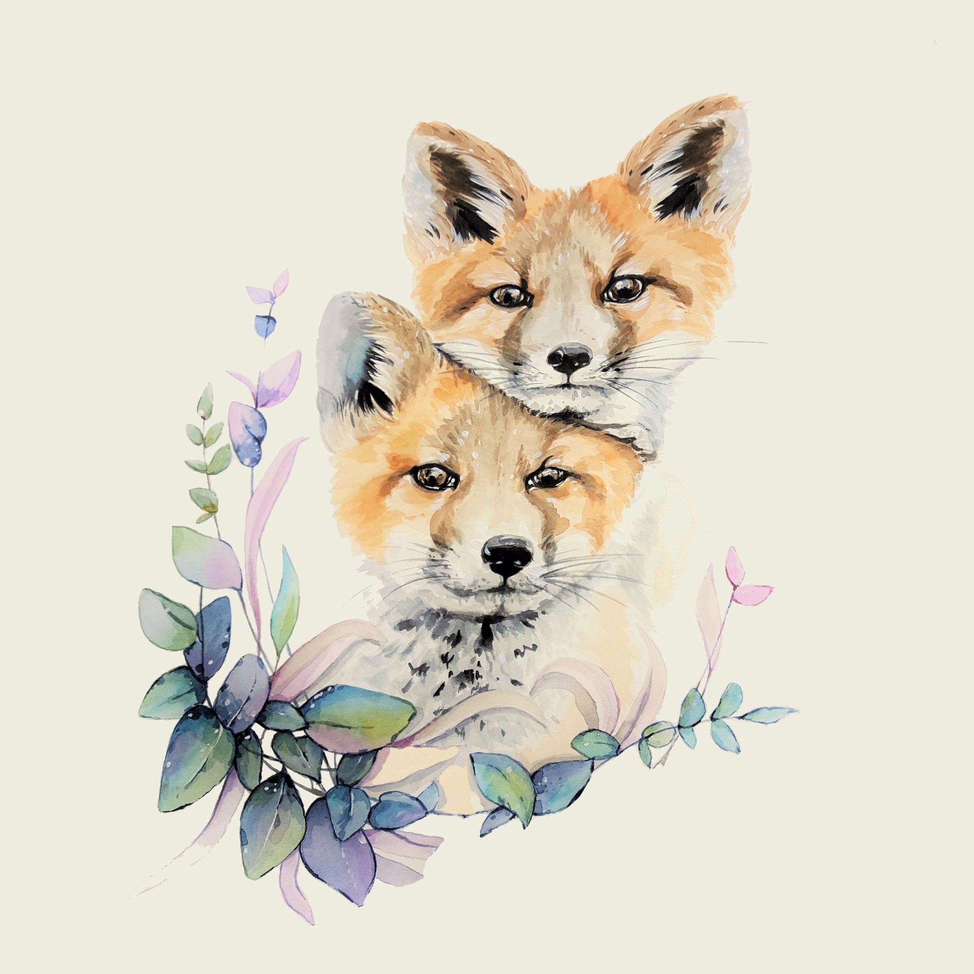 fox foxes watercolor free photo