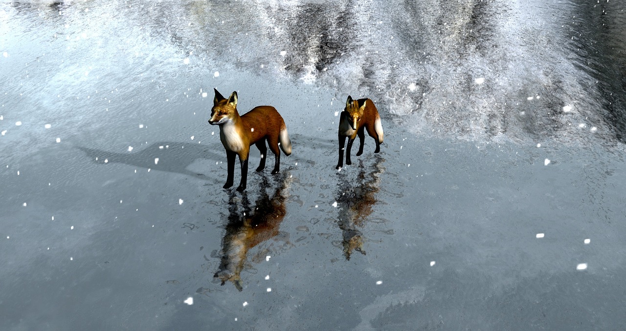 foxes ice landscape free photo