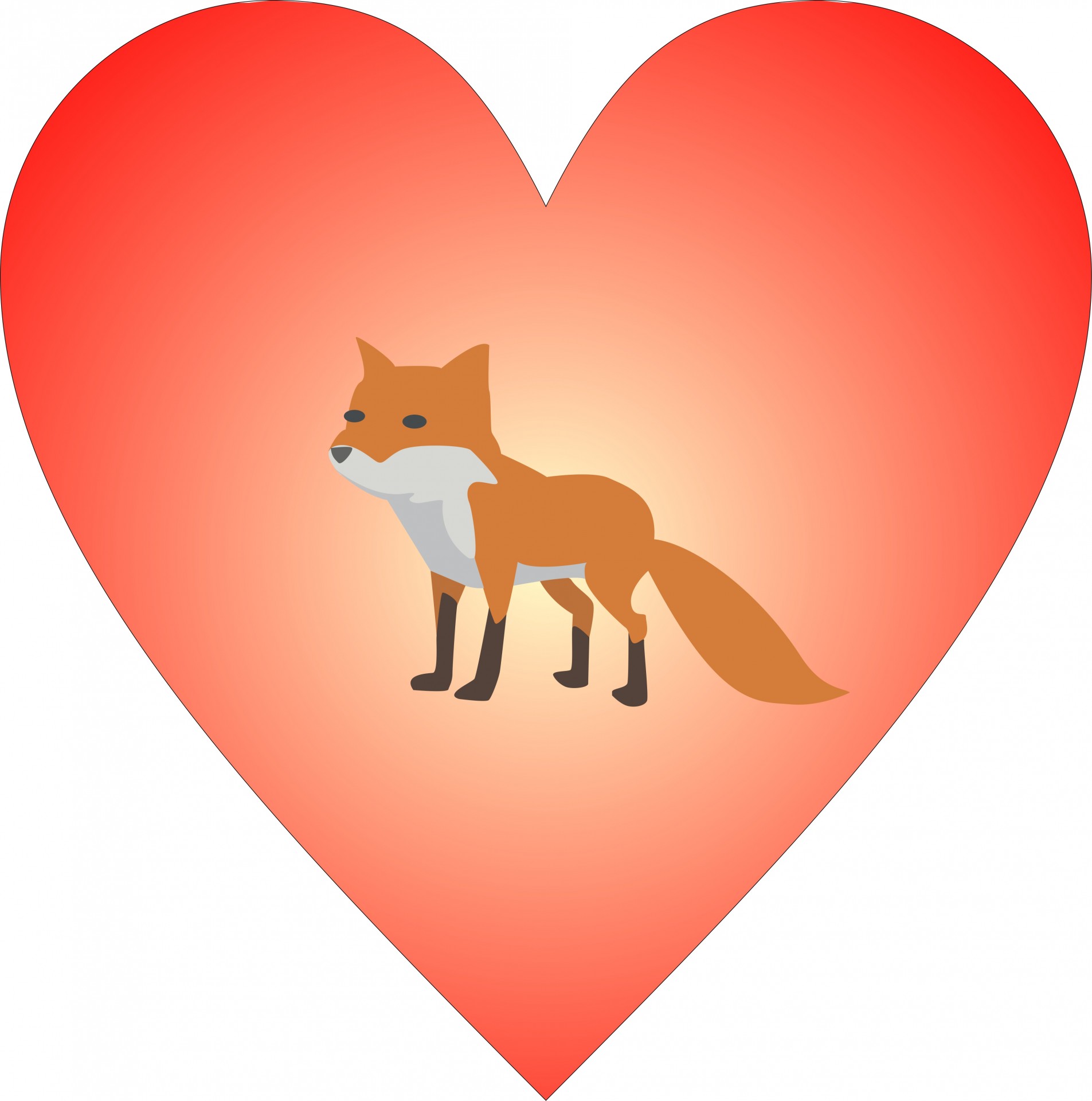 heart fox animal free photo