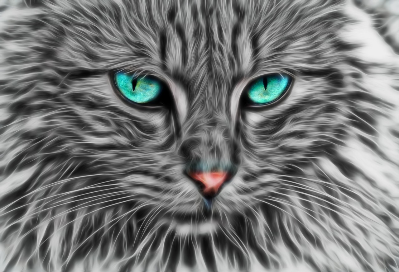 fractal fractal cat cat art free photo