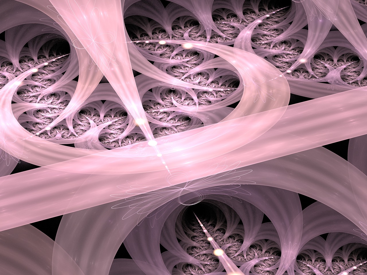 fractal flame render free photo
