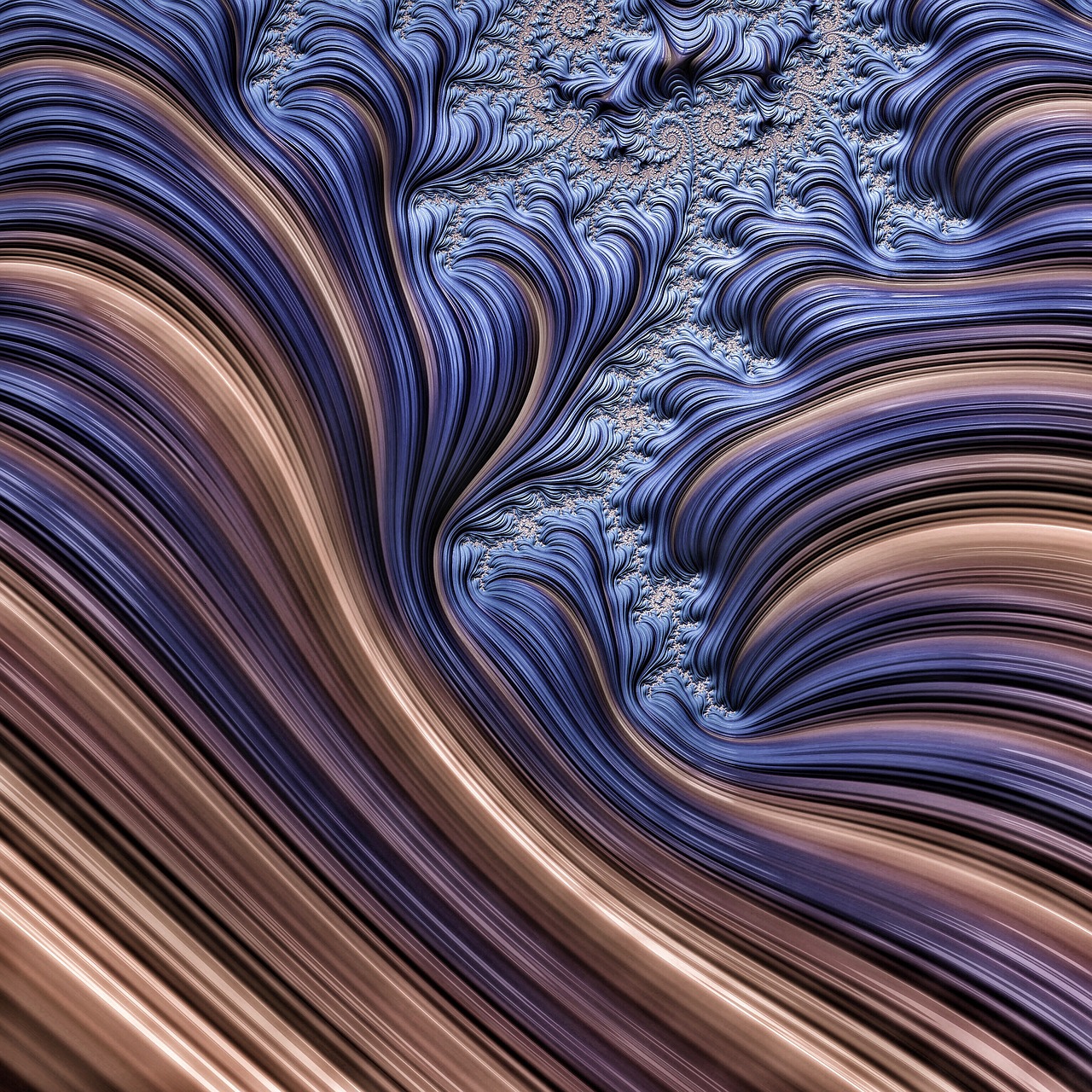 fractal smooth lines flowing lines free photo