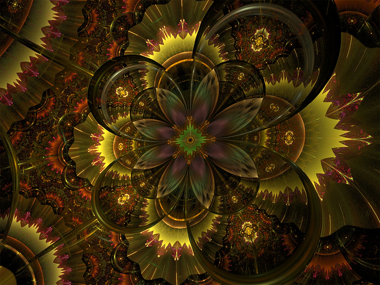 fractal flower fall free photo