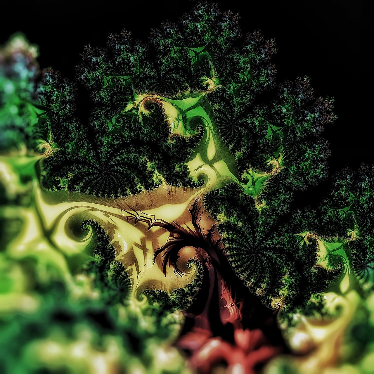 fractal cauliflower green free photo
