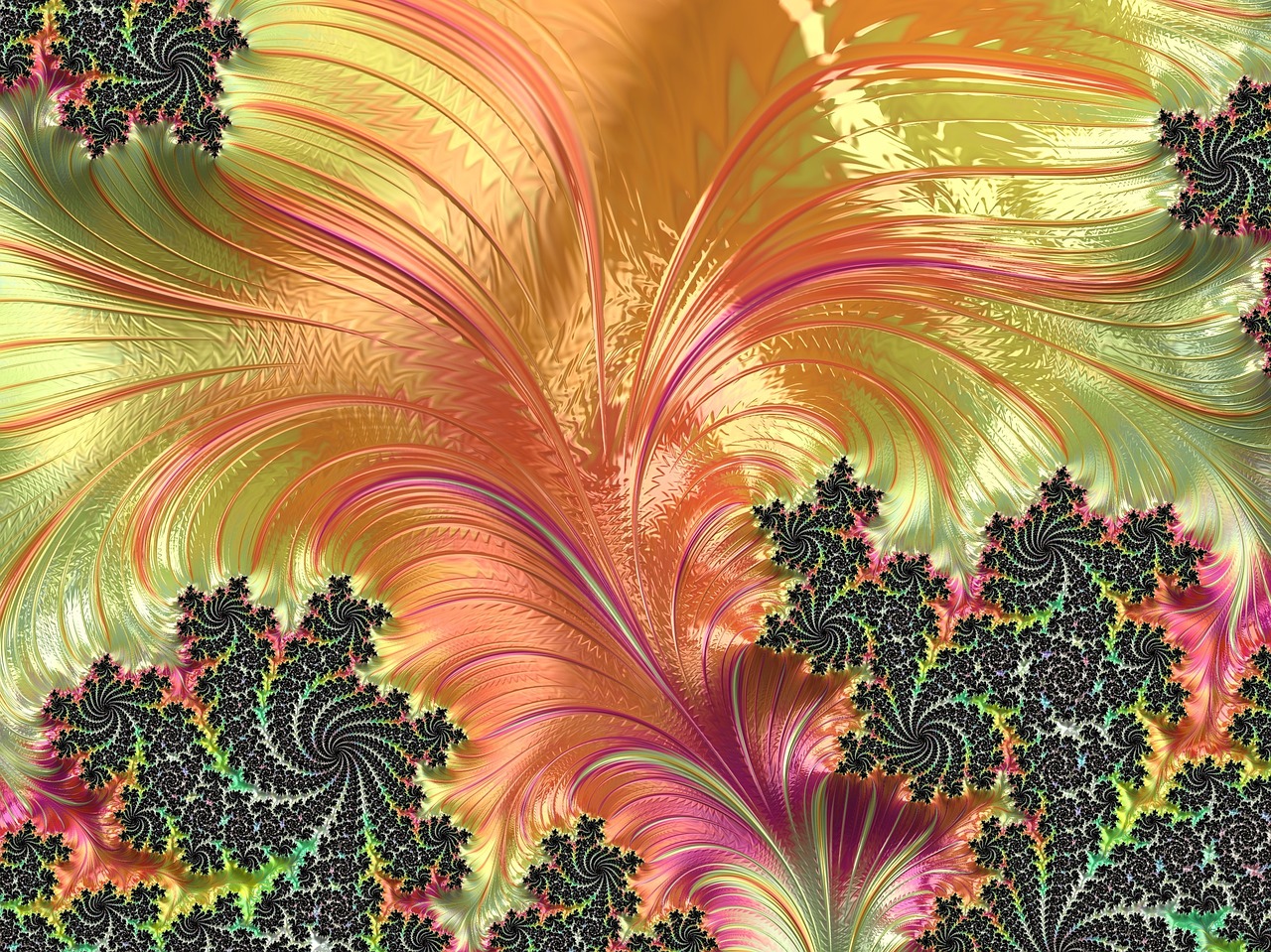 fractal feather artwork free photo