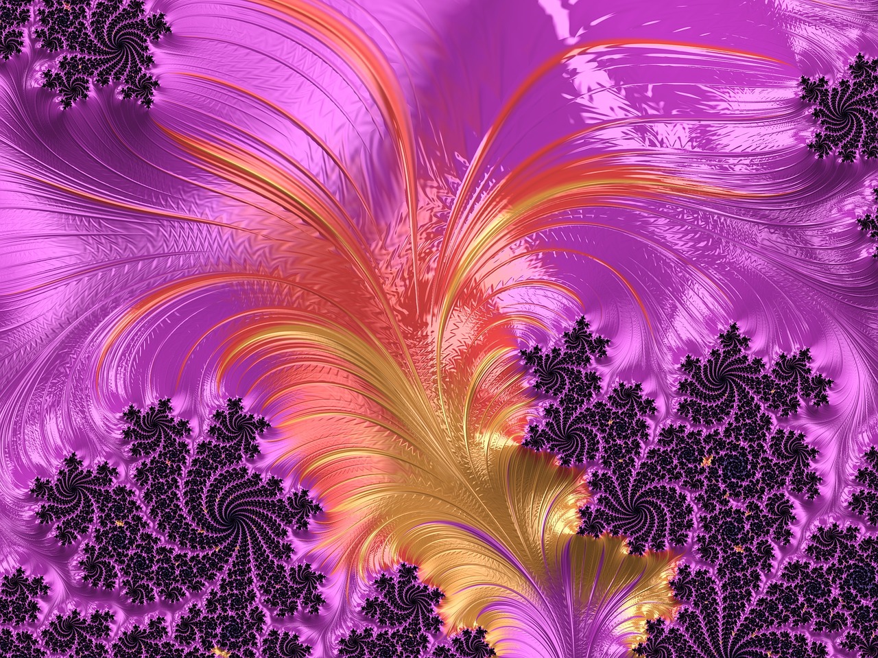 fractal puffy feather free photo