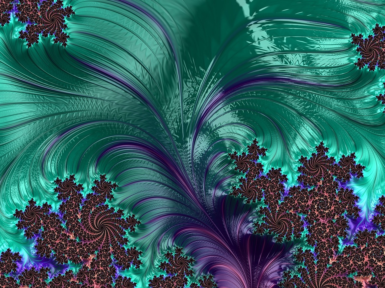 fractal turquoise feather free photo