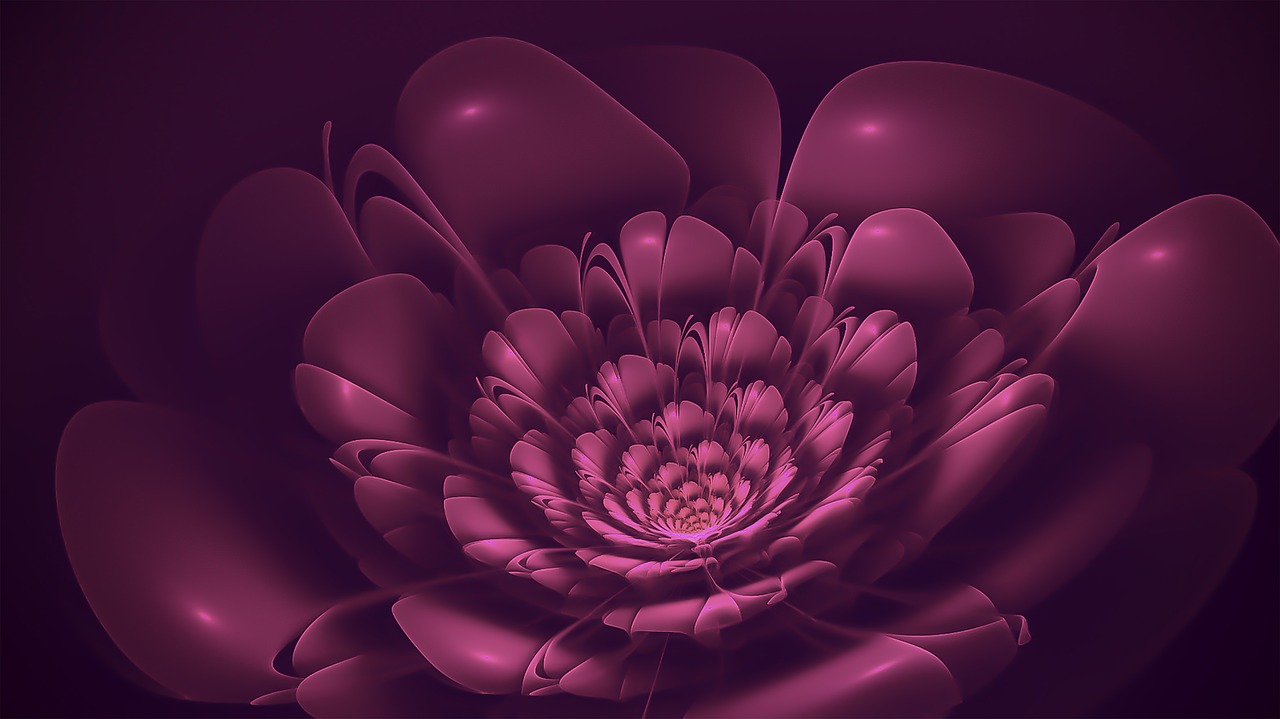 fractal blossom flower free photo
