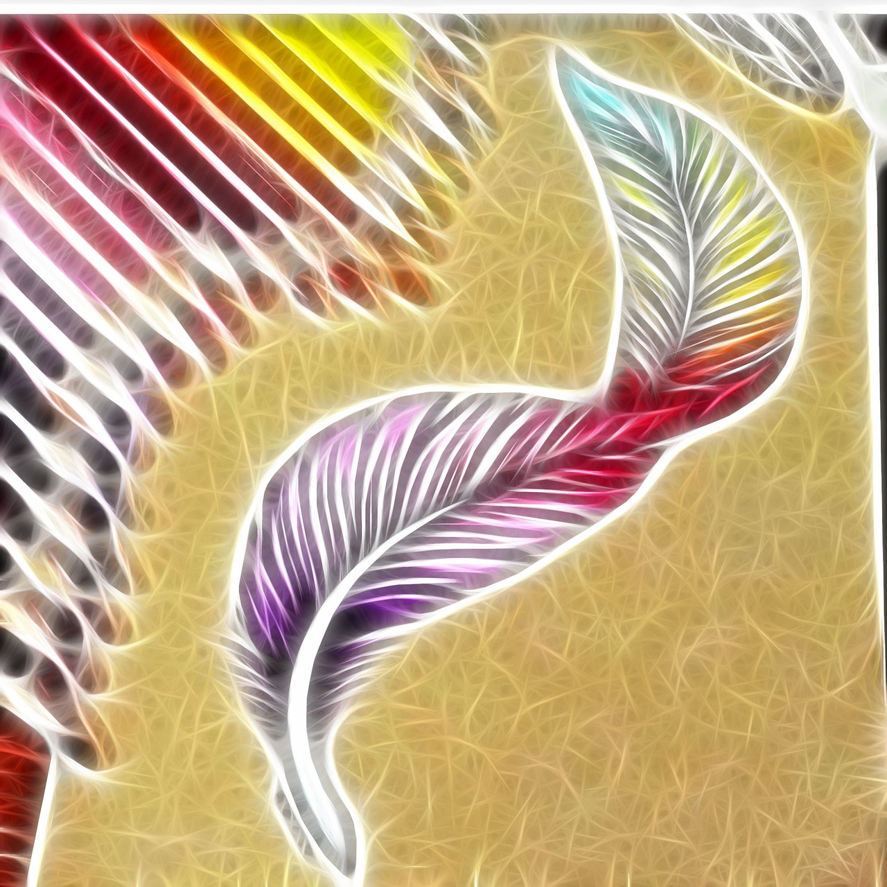 fractal colors feathers free photo