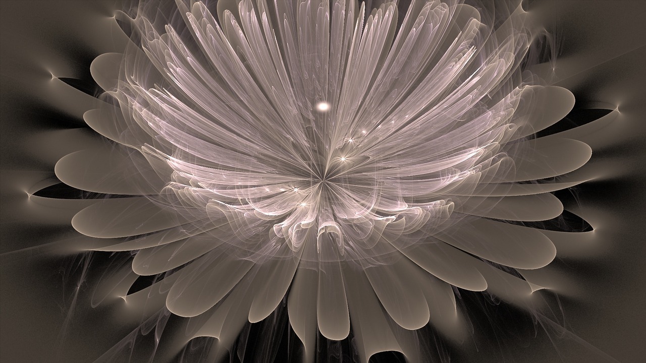 fractal flower design free photo