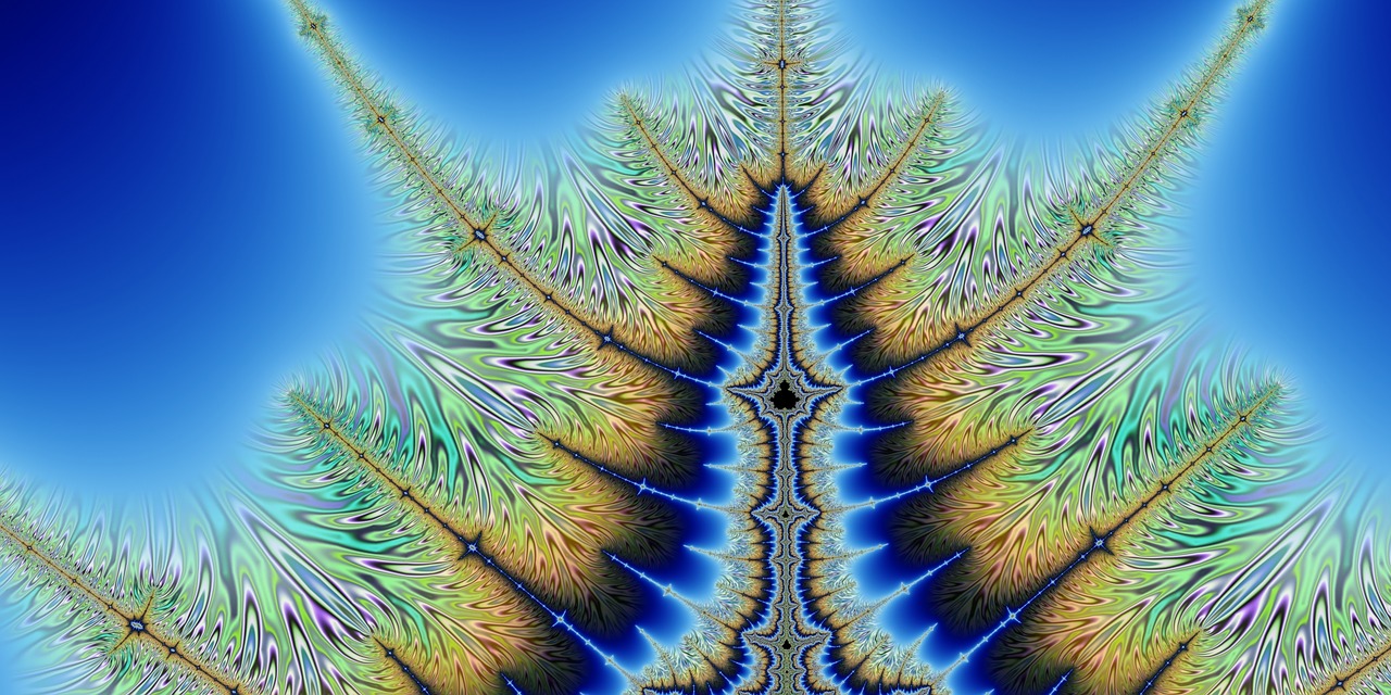 fractal fantastic colorful free photo