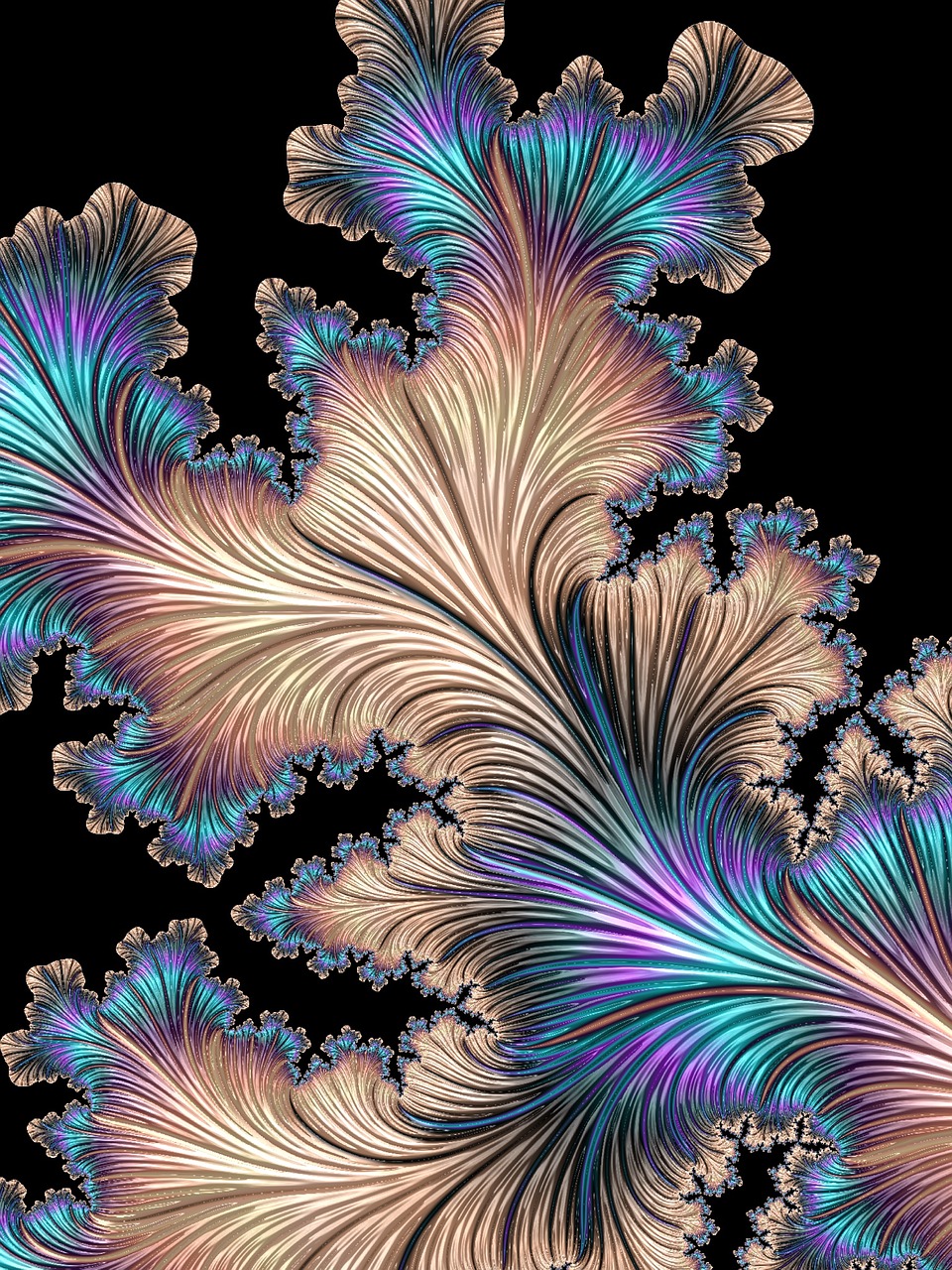 fractal colors digital free photo