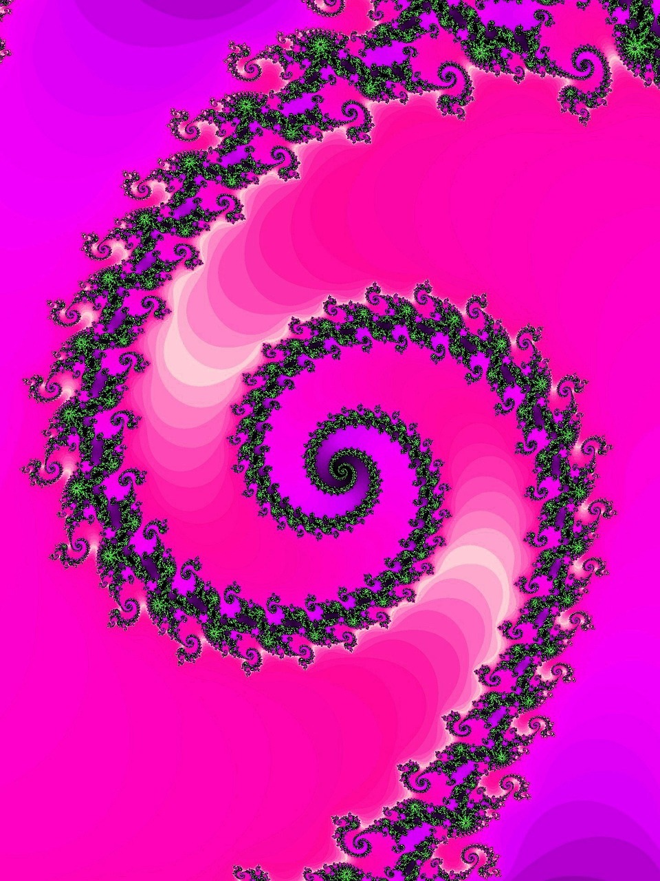 fractal spiral curve free photo