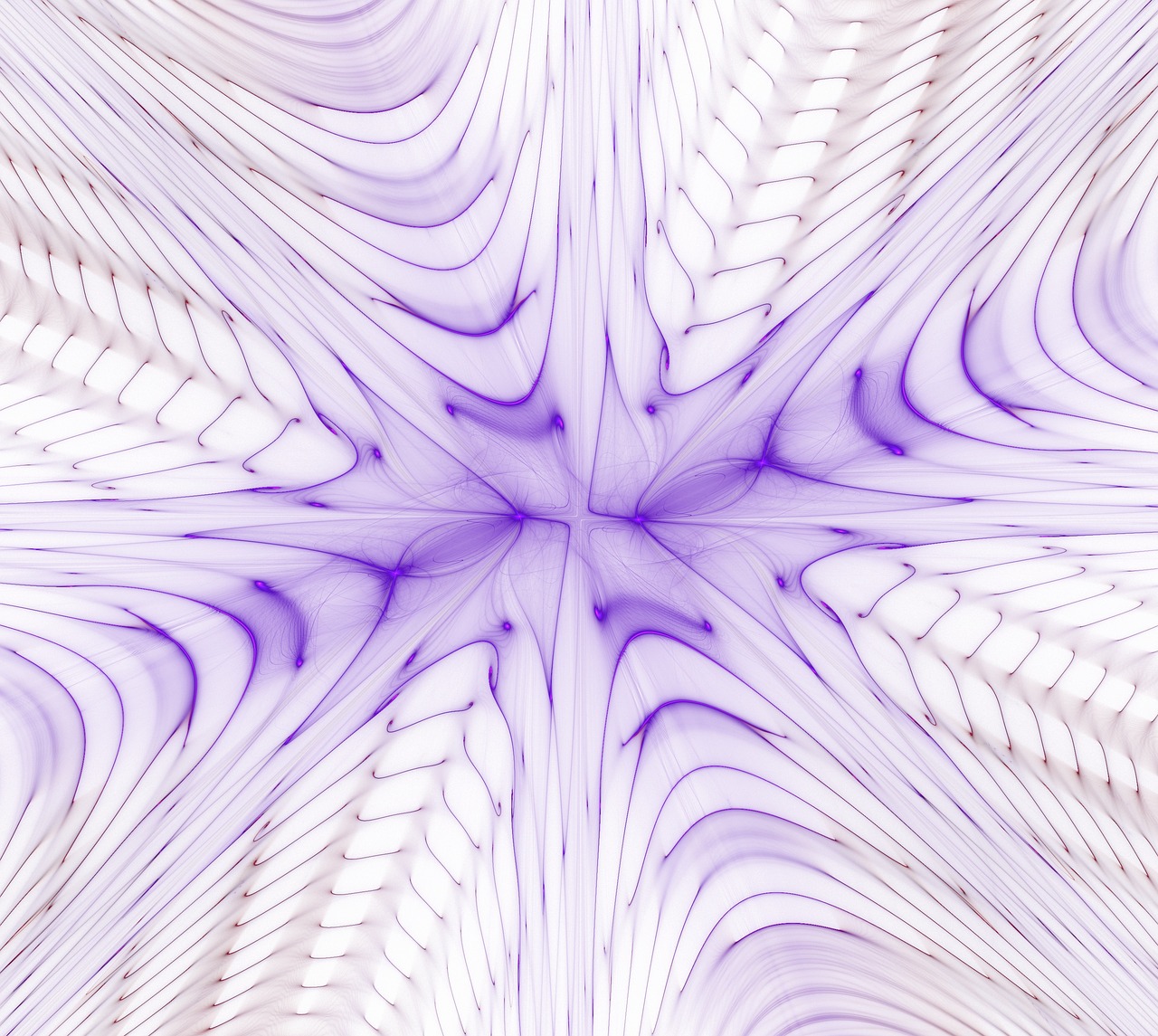 fractal  art  pattern free photo