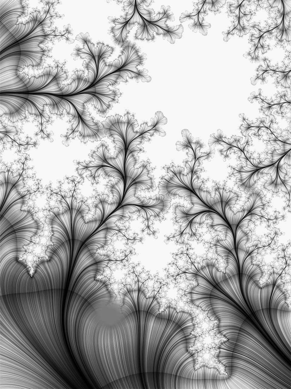 fractal abstract line free photo