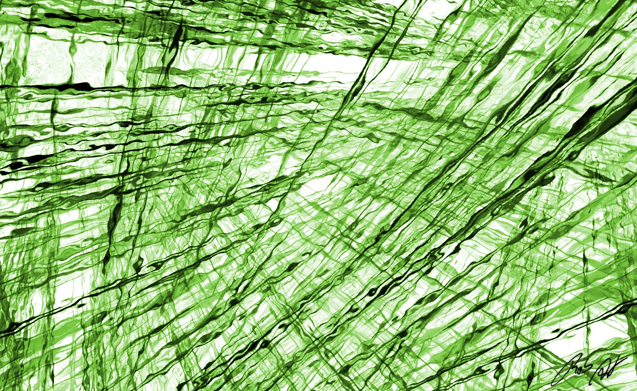 fractal green digital free photo