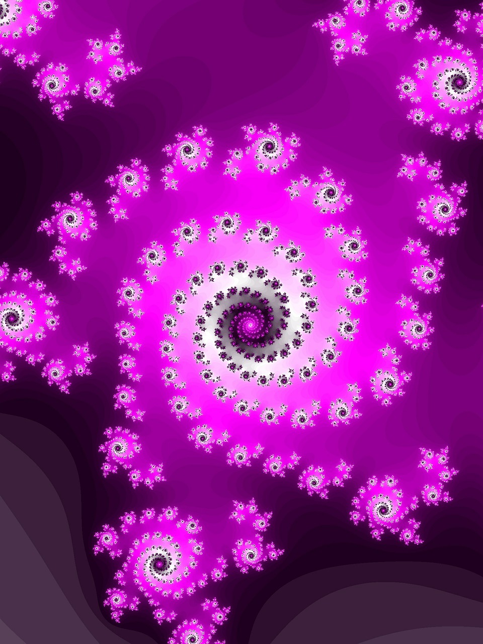 fractal pink spiral free photo