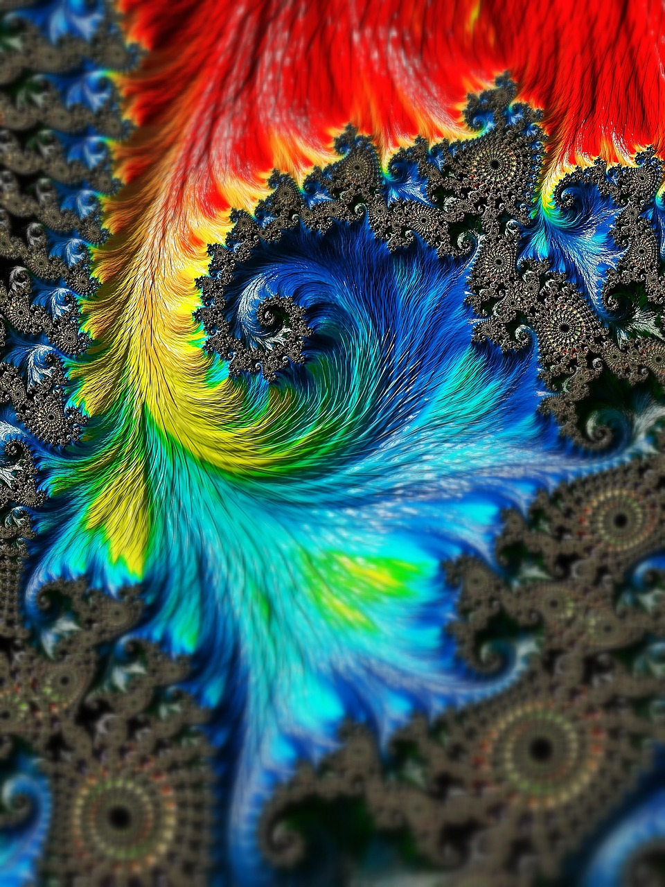 fractal colors abstract free photo