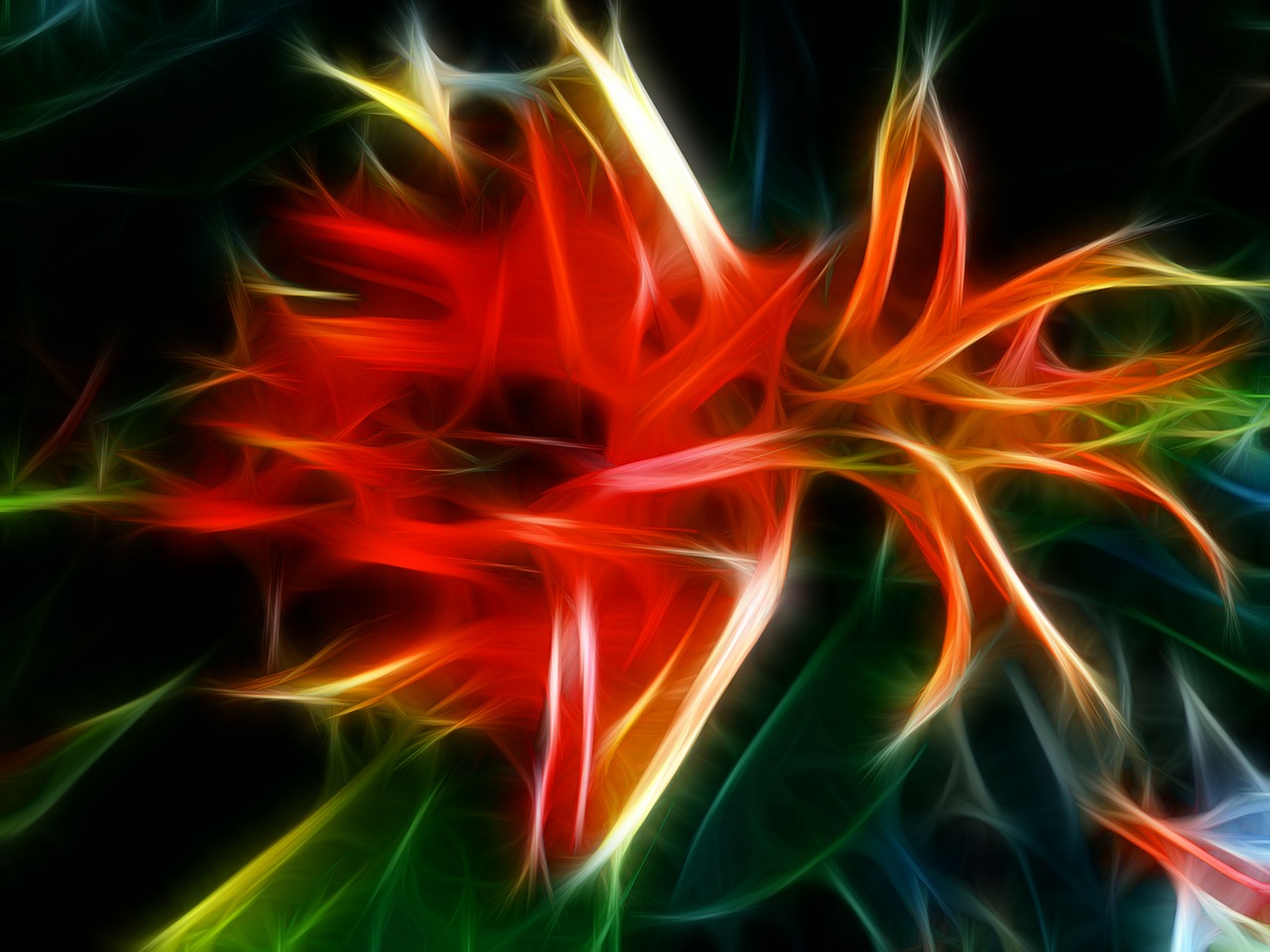 fractal colorful artwork free photo