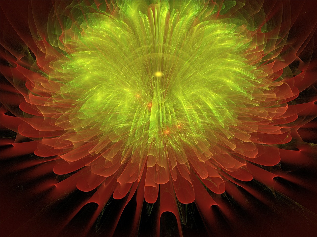 fractal flower render free photo