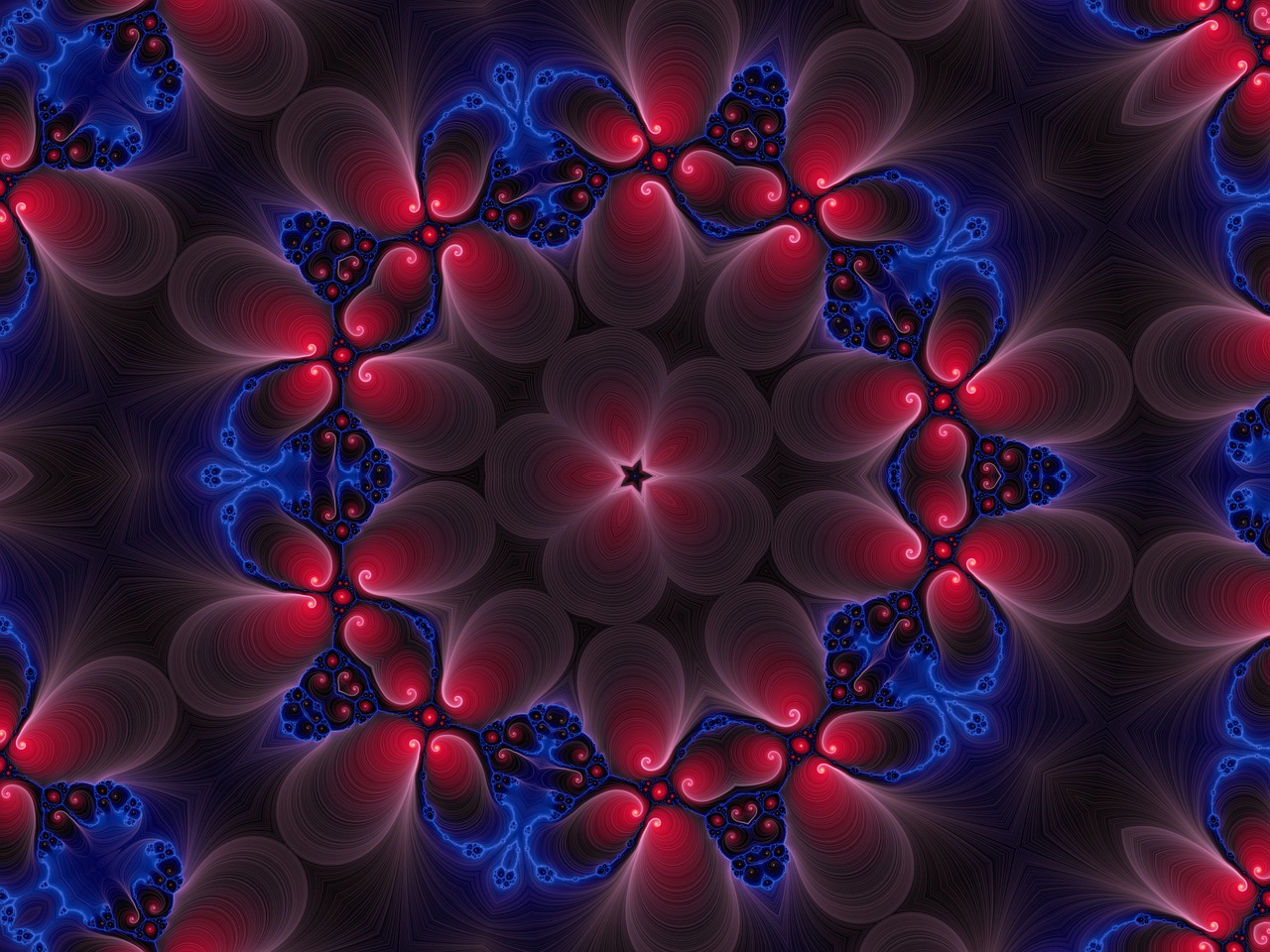 fractal flower design free photo