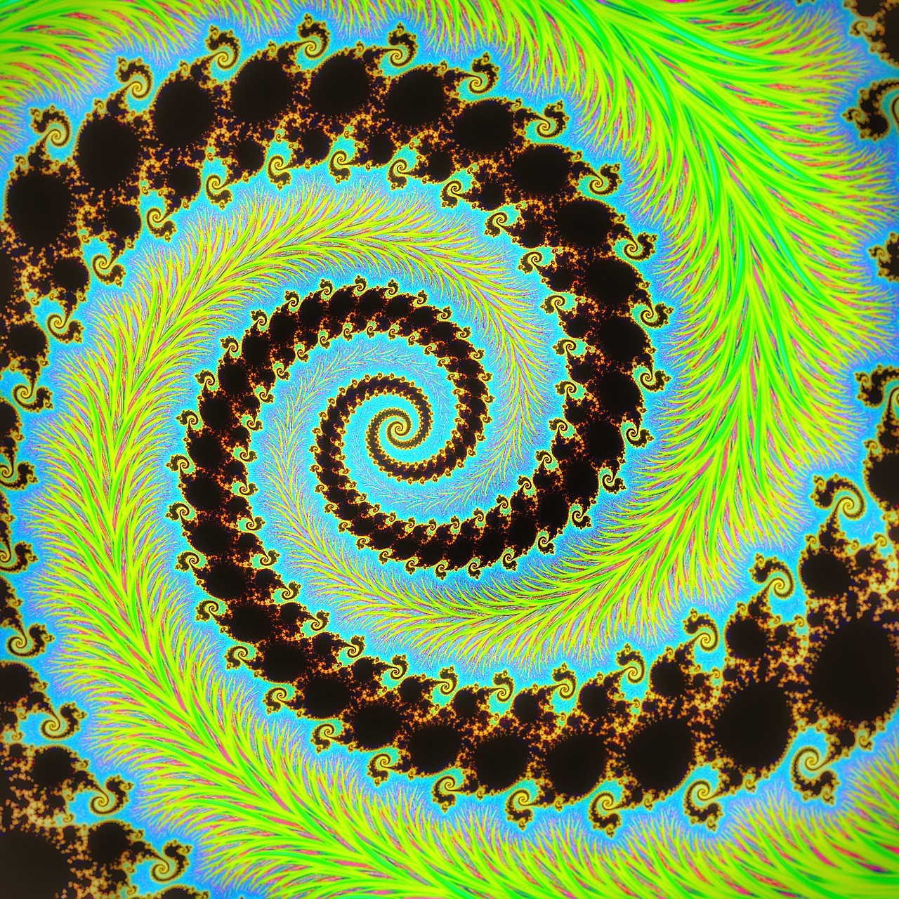 fractal julia mandelbrot free photo