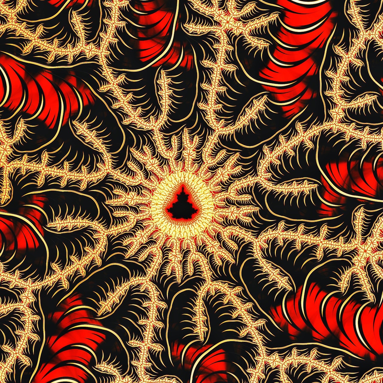 fractal julia mandelbrot free photo