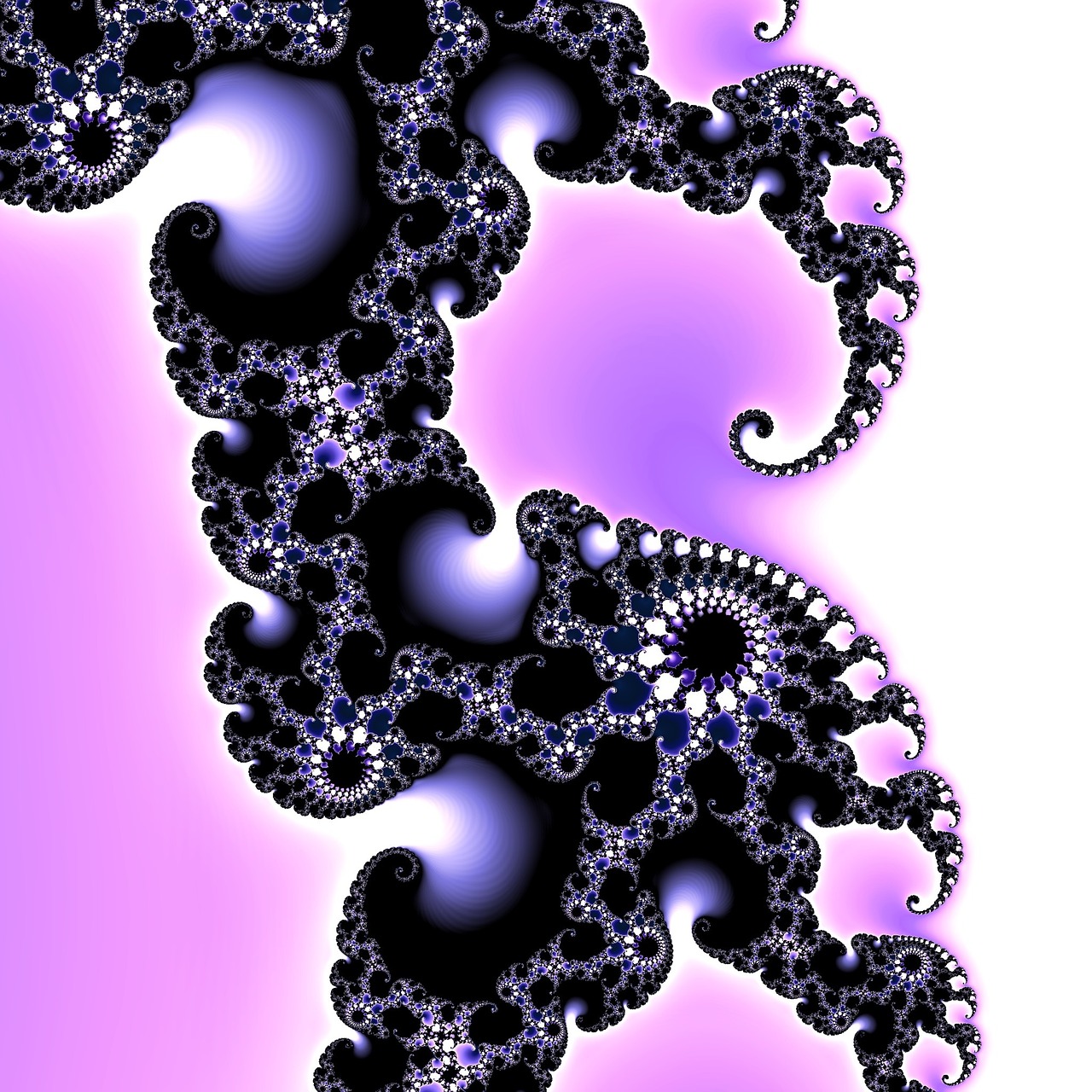 fractal mandelbrot art free photo