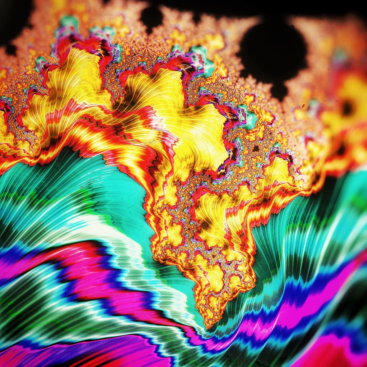 fractal mandelbrot art free photo