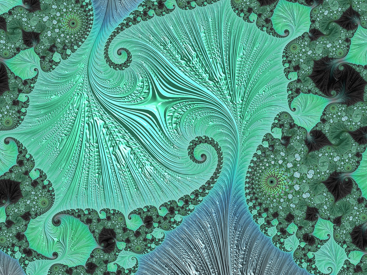 fractal artwork fan shape art free photo