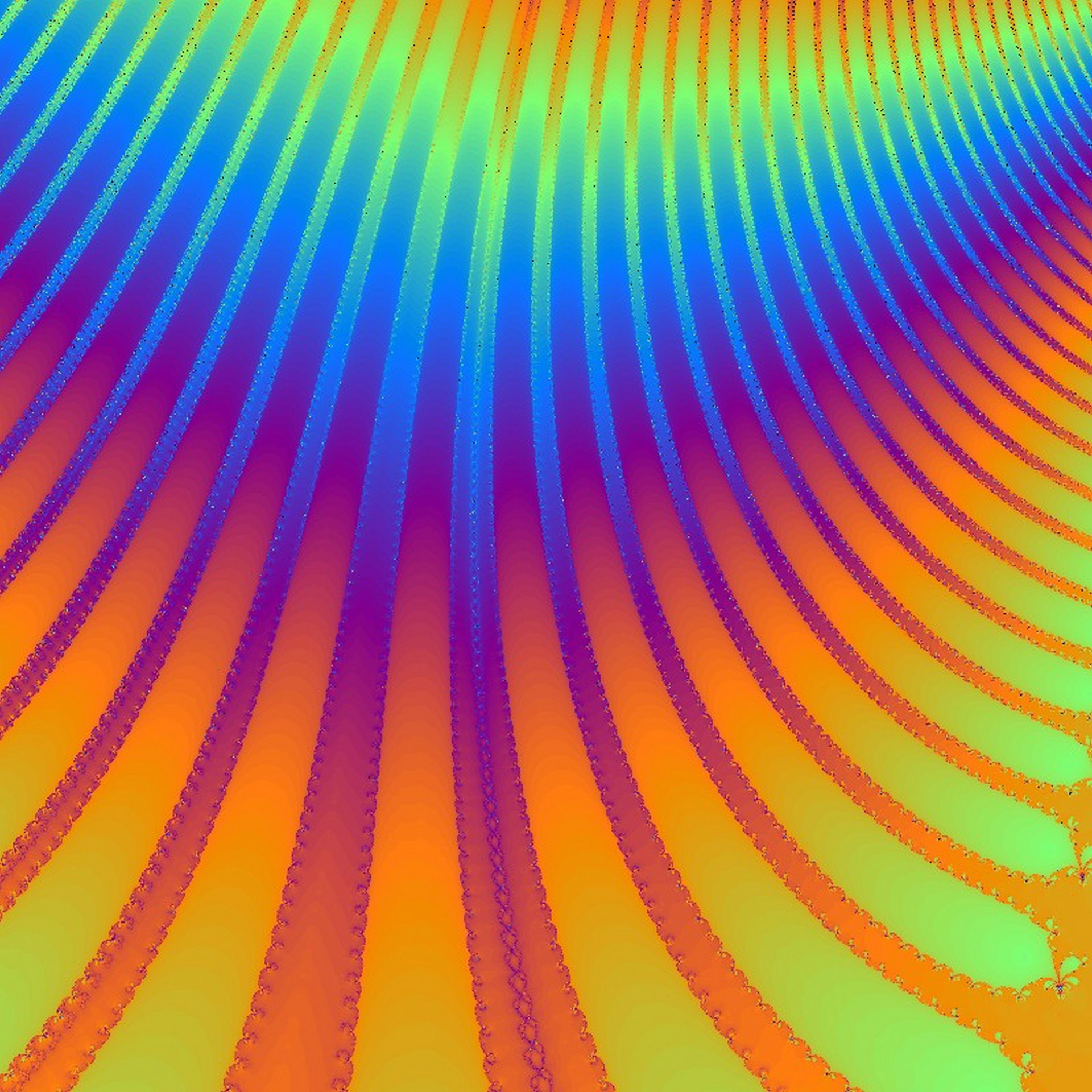 fractal background fractal belle-de-nuit # 3 free photo