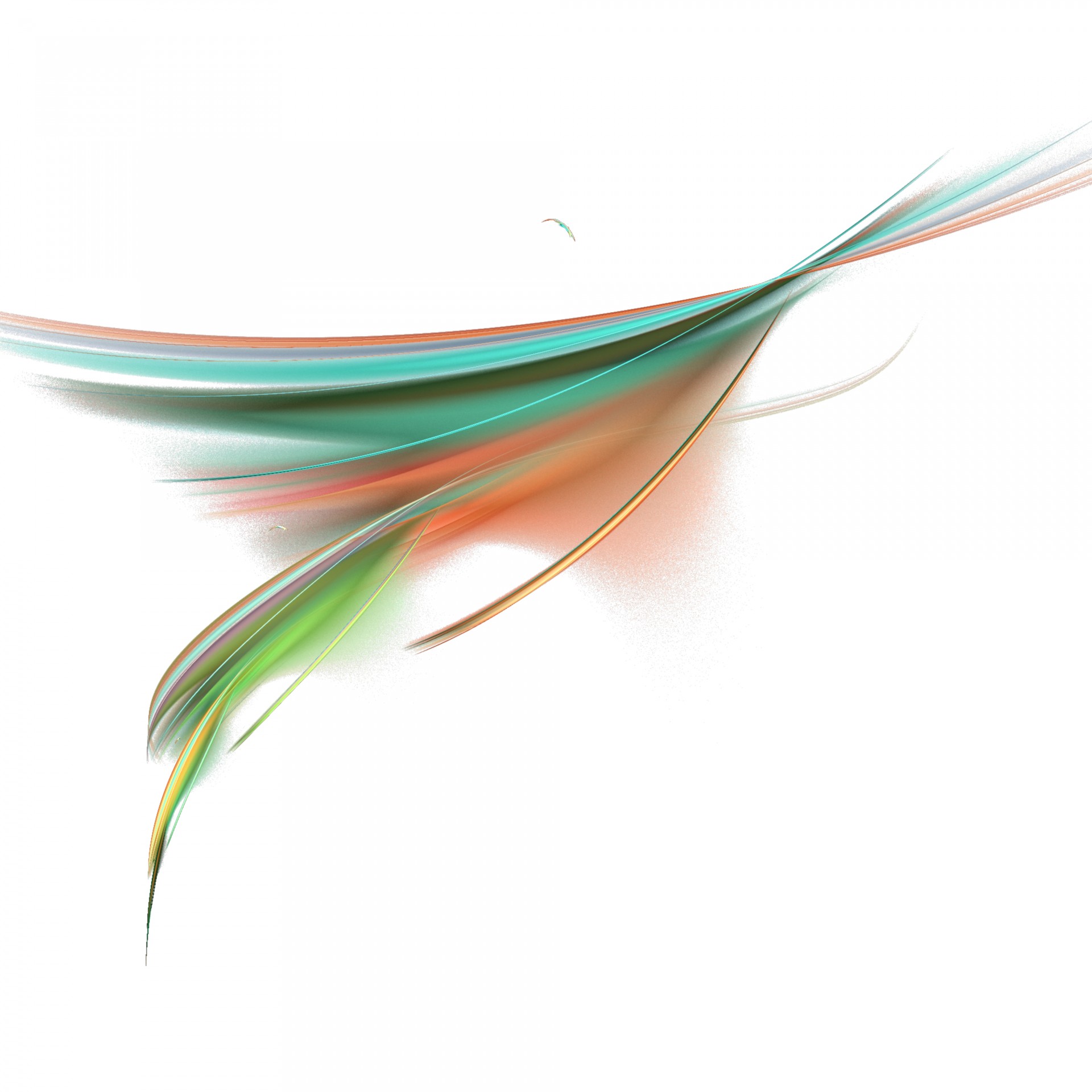 color fractal feather free photo