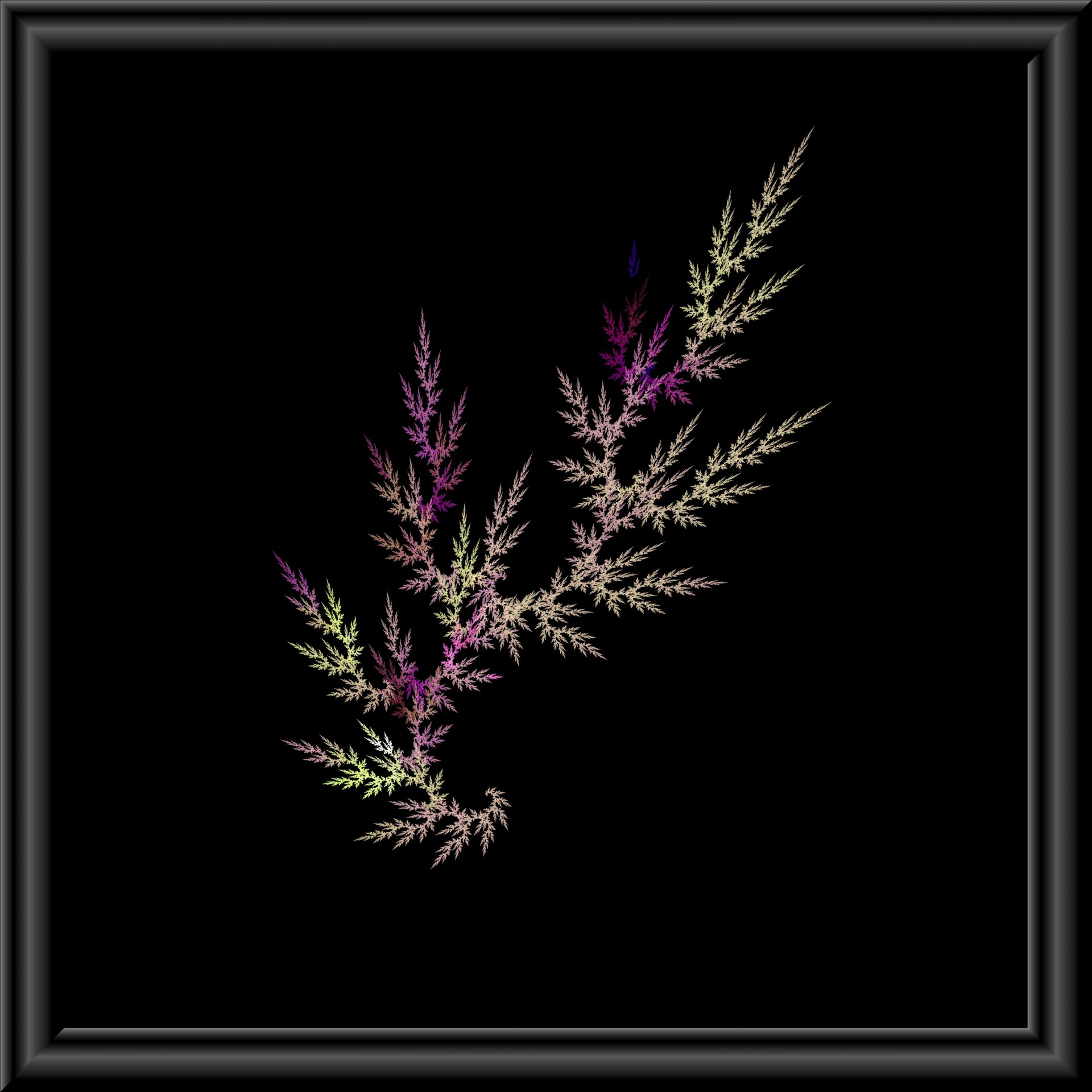 fern 3d glass free photo