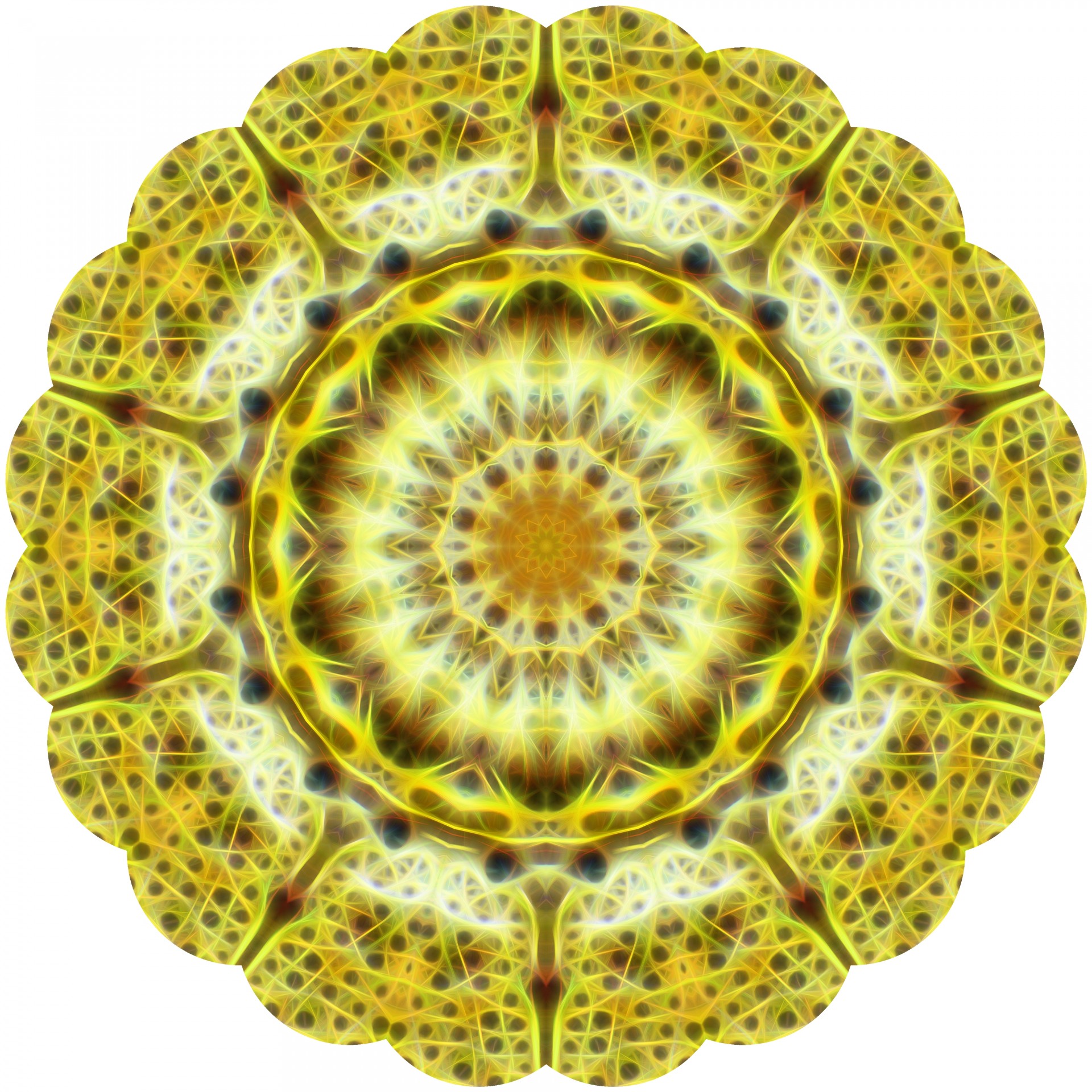 fractal flower symbol free photo