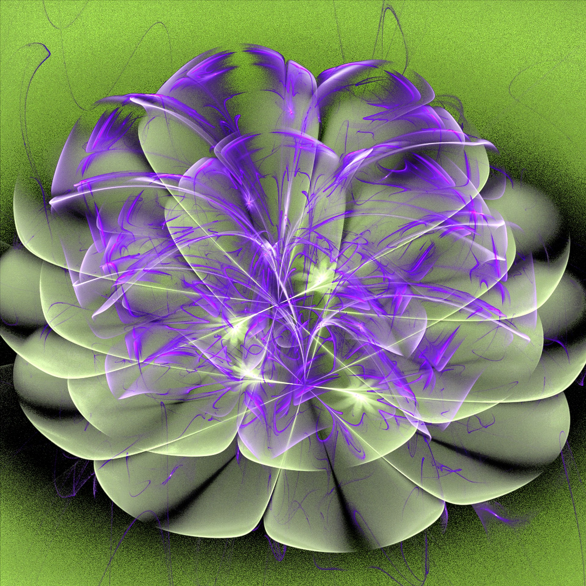 violet flower fractal free photo