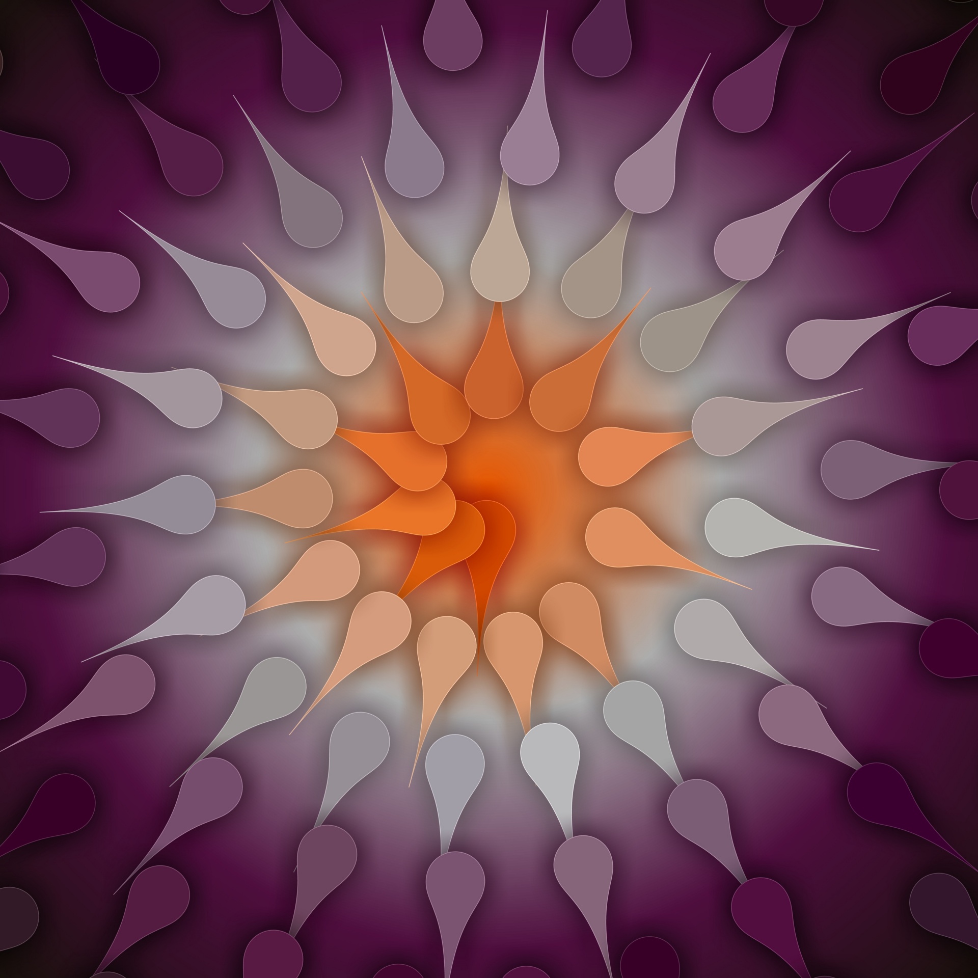 fractal flower symmetric free photo