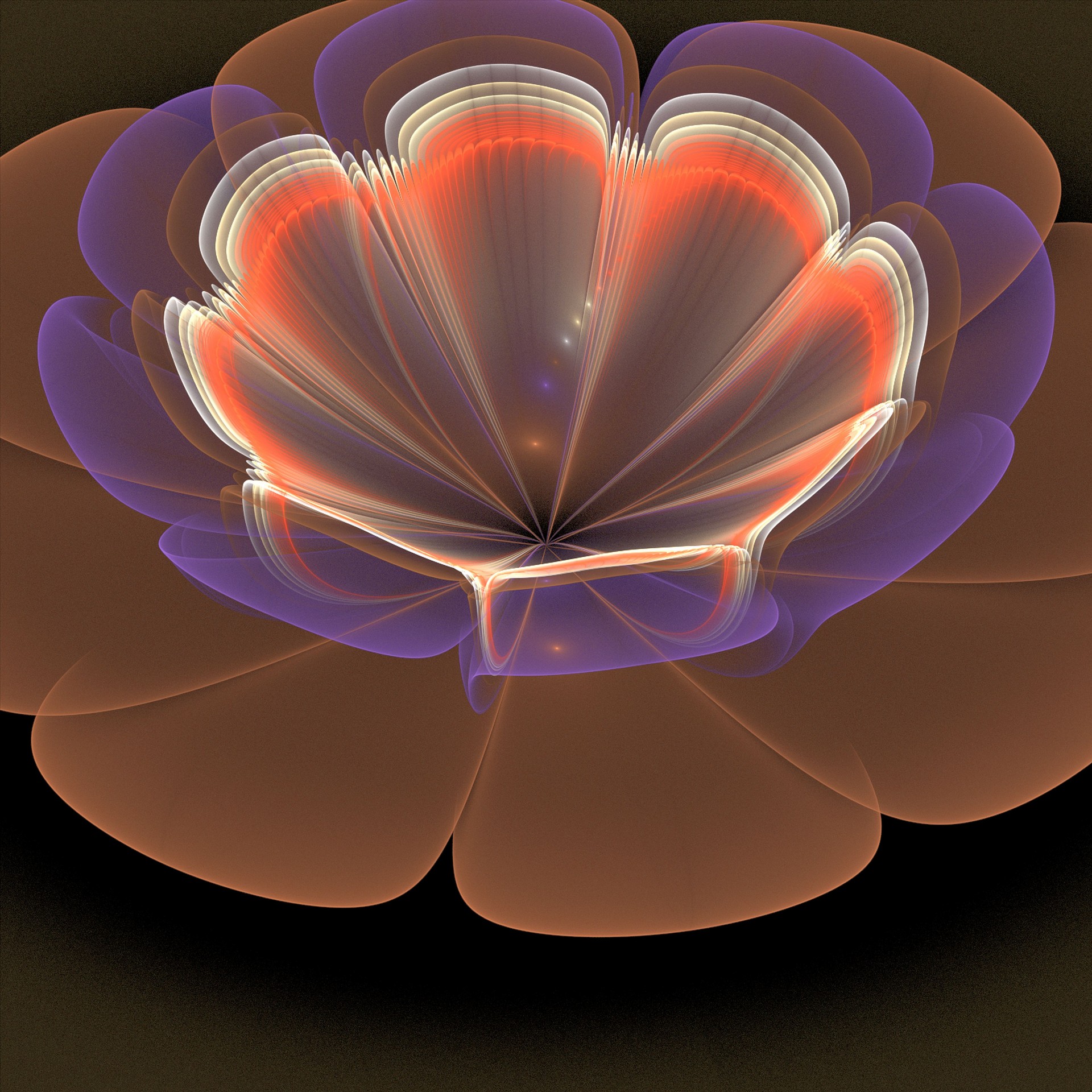 flower 3d fractal free photo