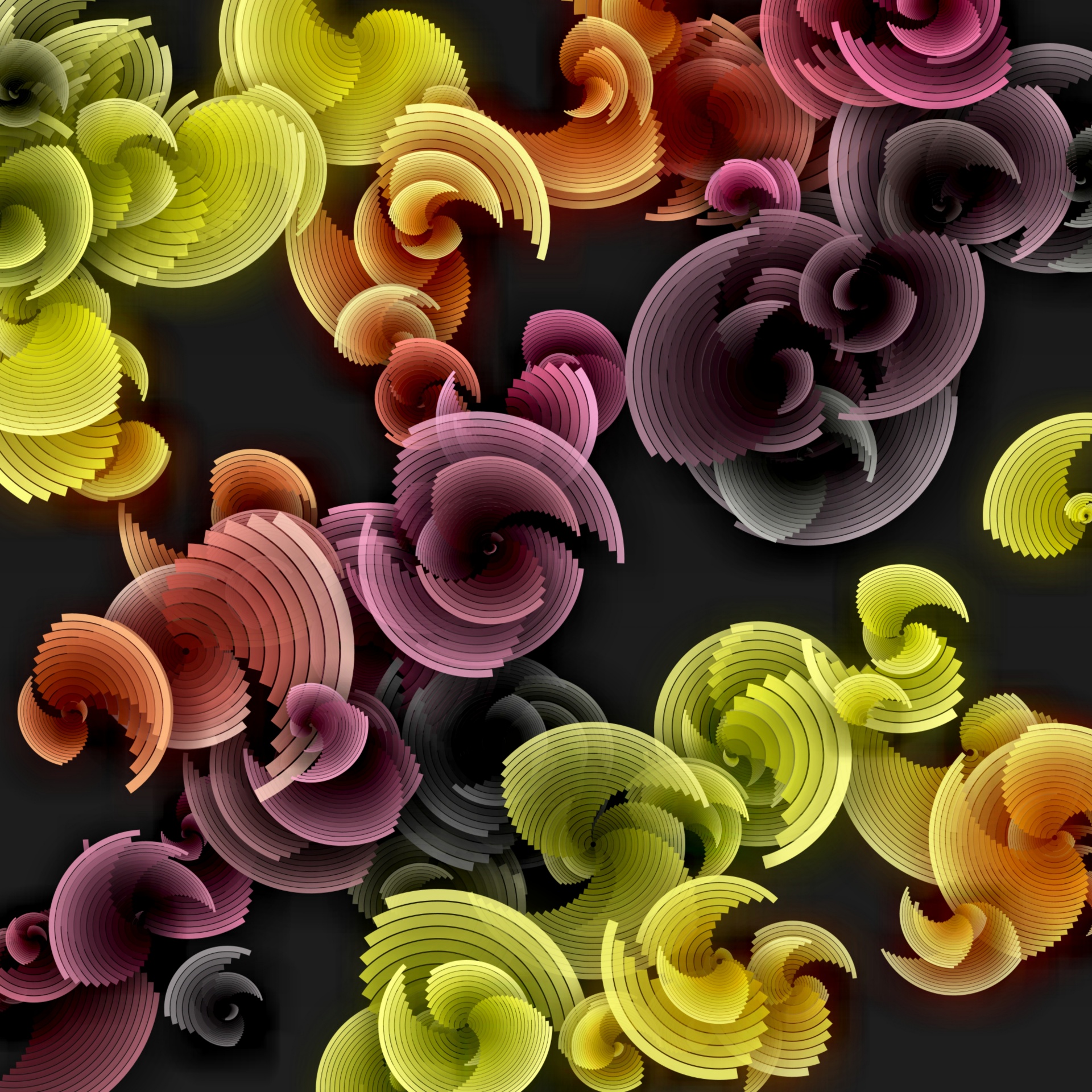 wallpaper fractal flowers free photo