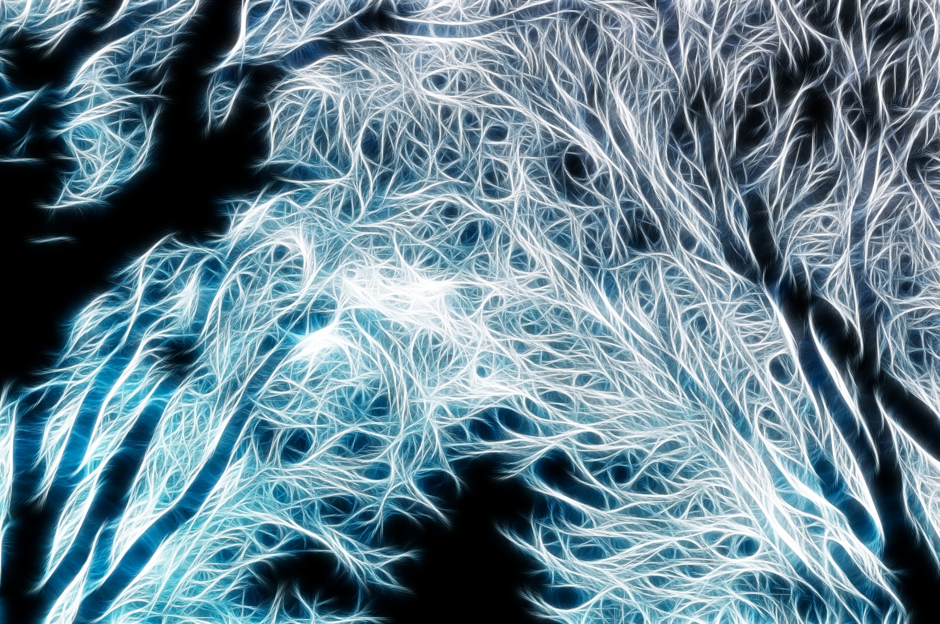 fractal forest artistic free photo