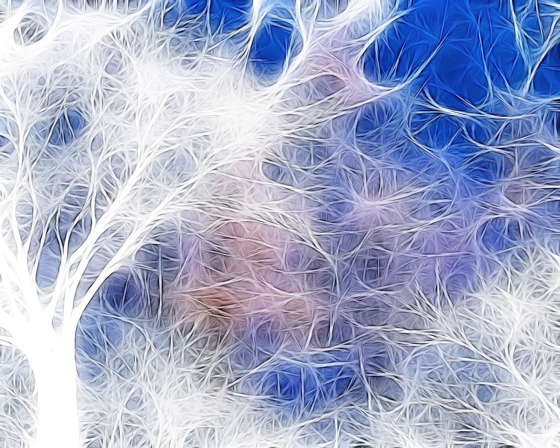 fractal forest artistic free photo