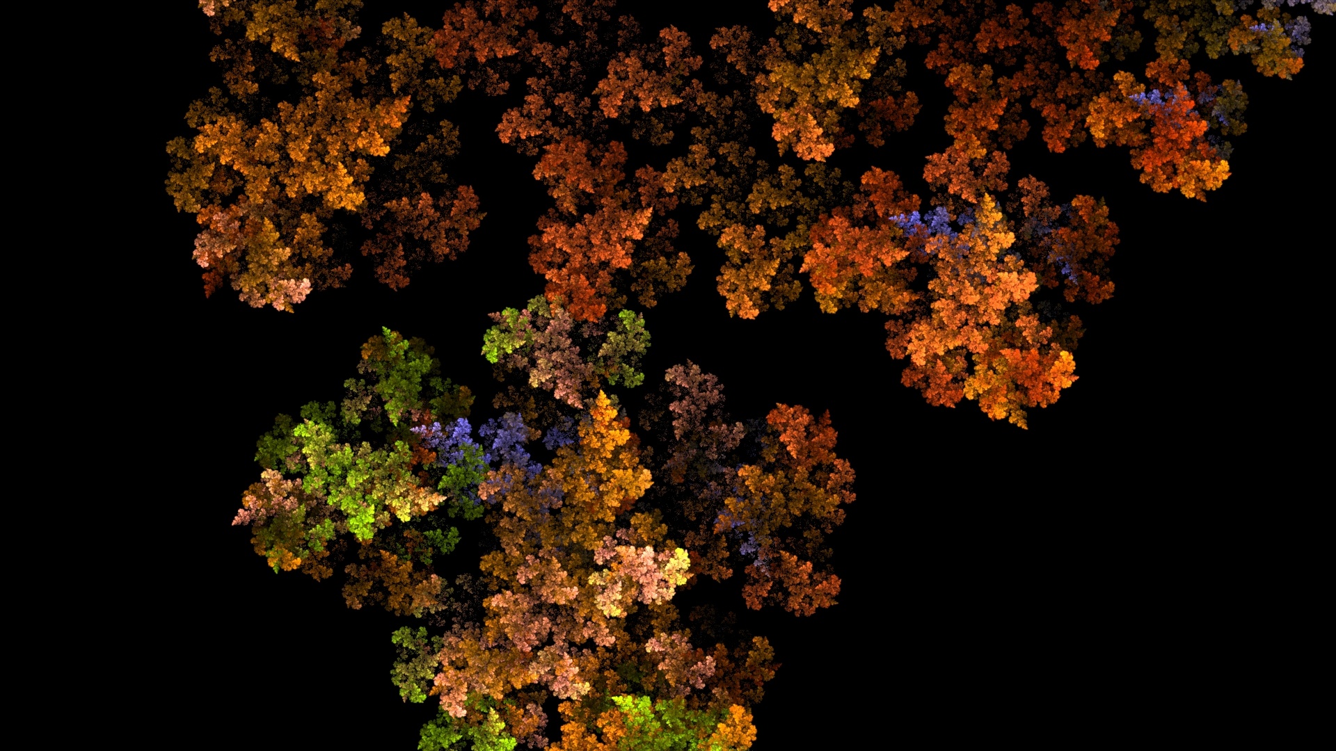 wallpaper fractal leaves free photo