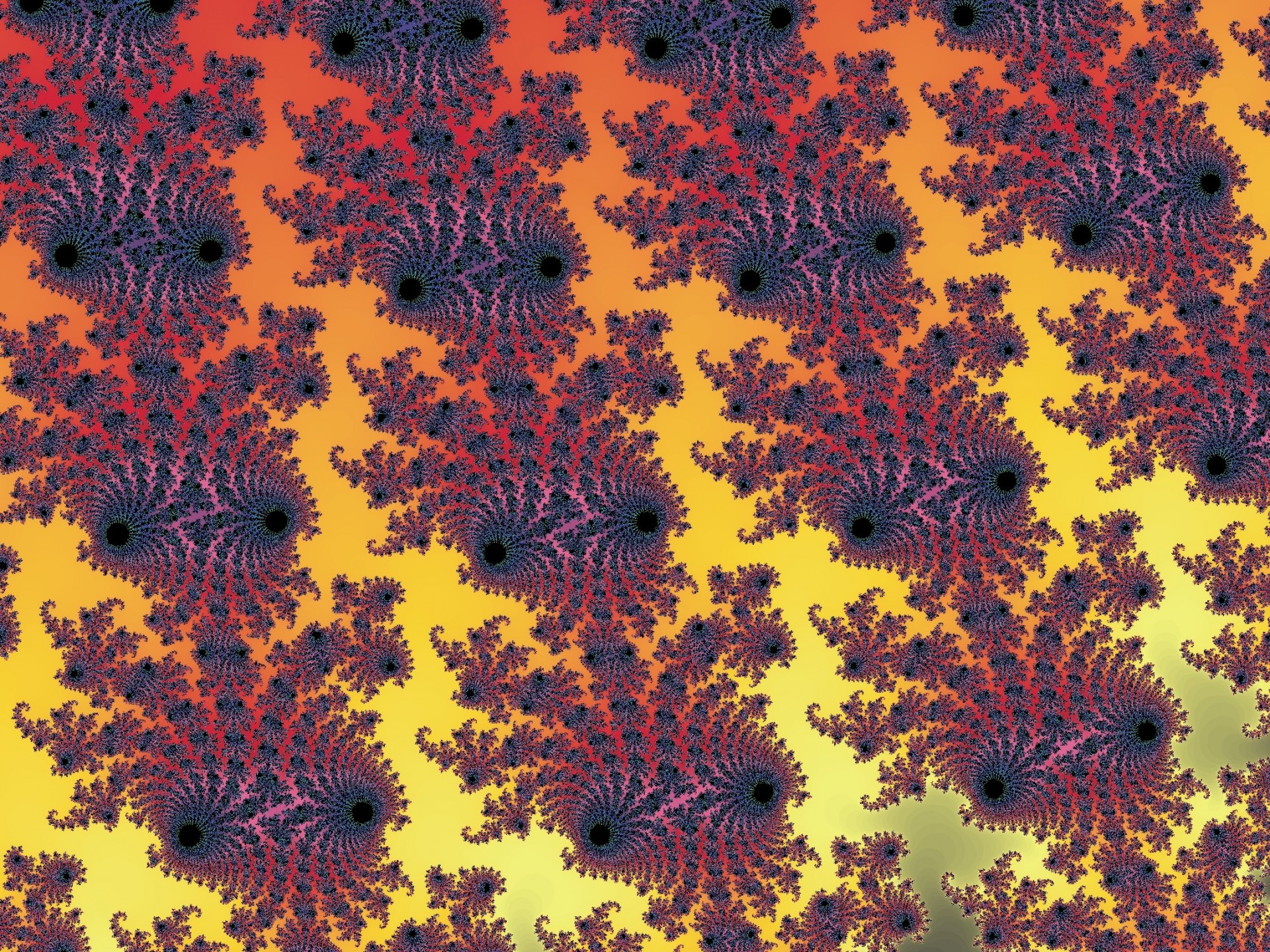 fractal colored pattern free photo