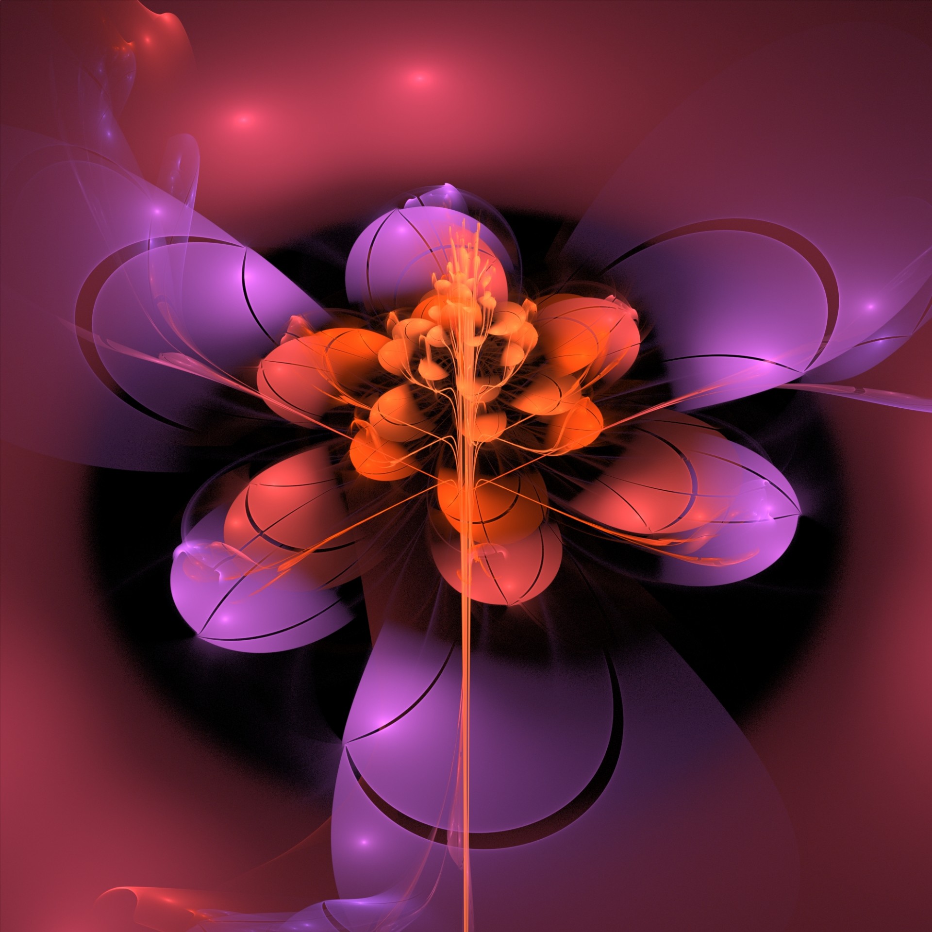 petals flower abstract free photo