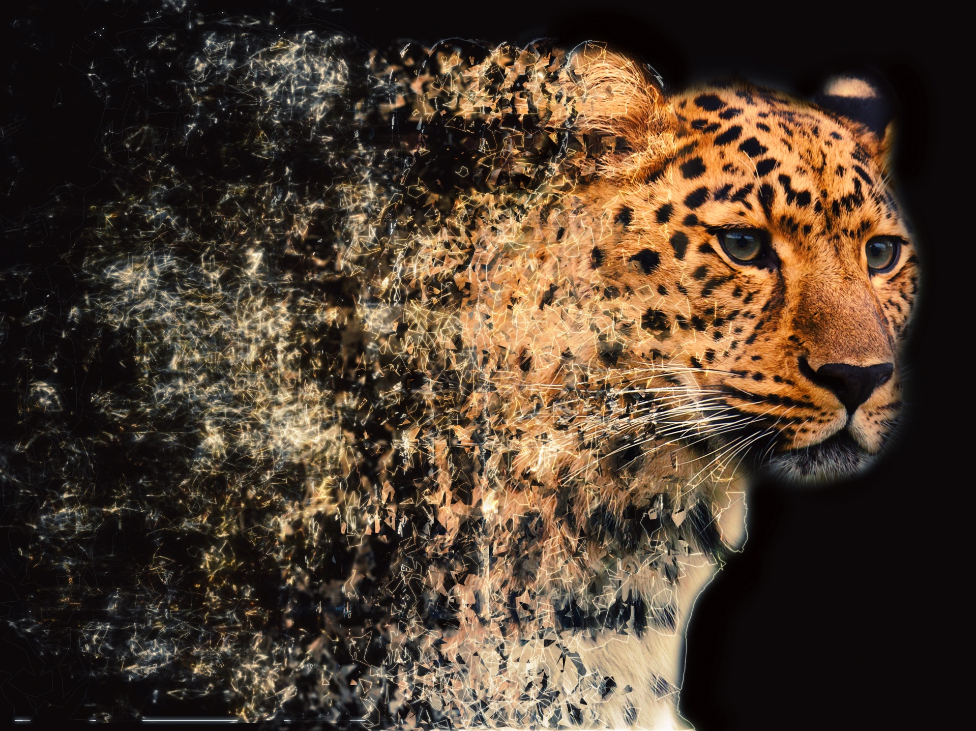 leopard fractal wall art free photo